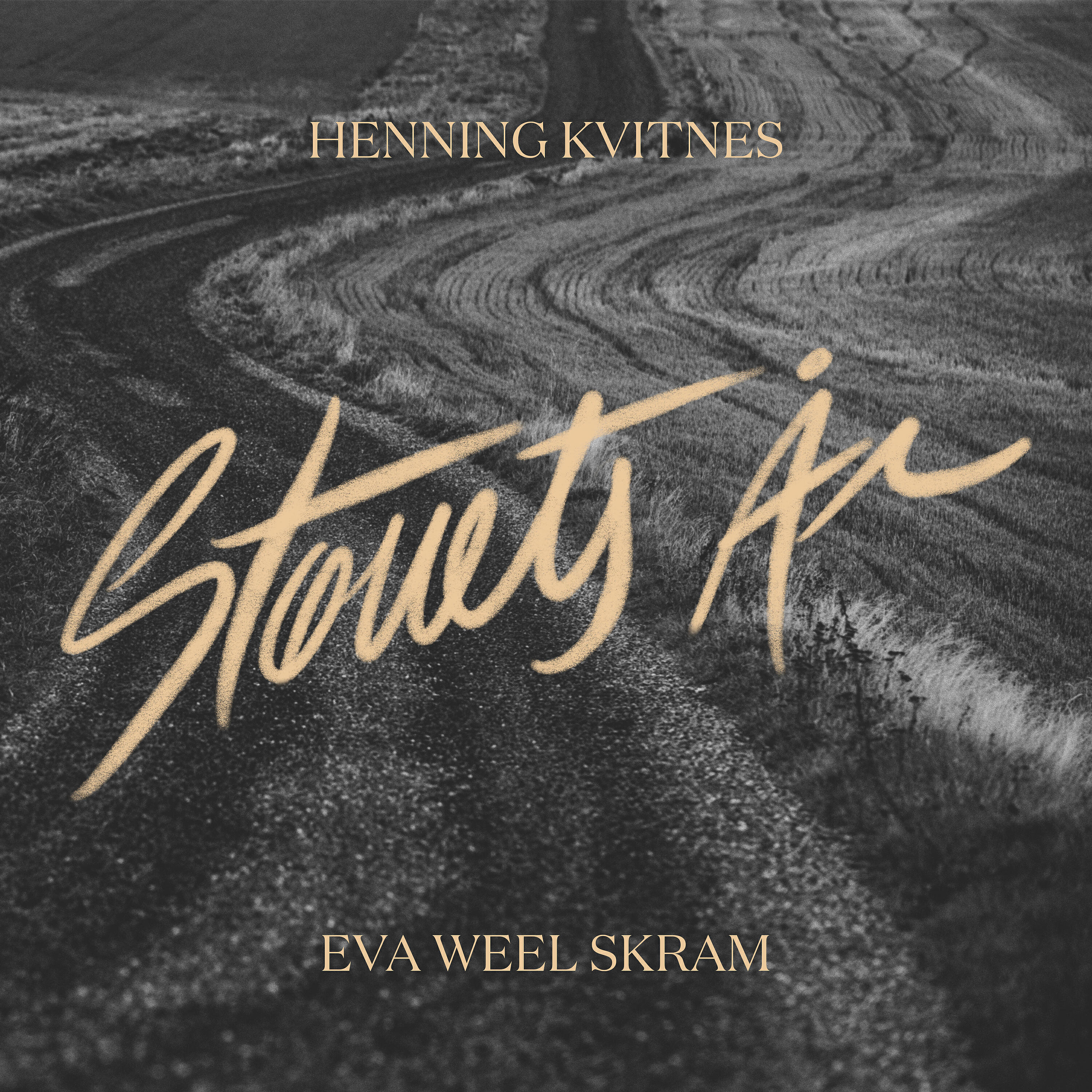 Henning Kvitnes - Støvets år