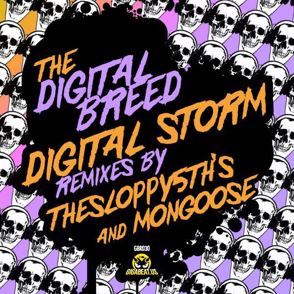 Постер альбома Digital Storm