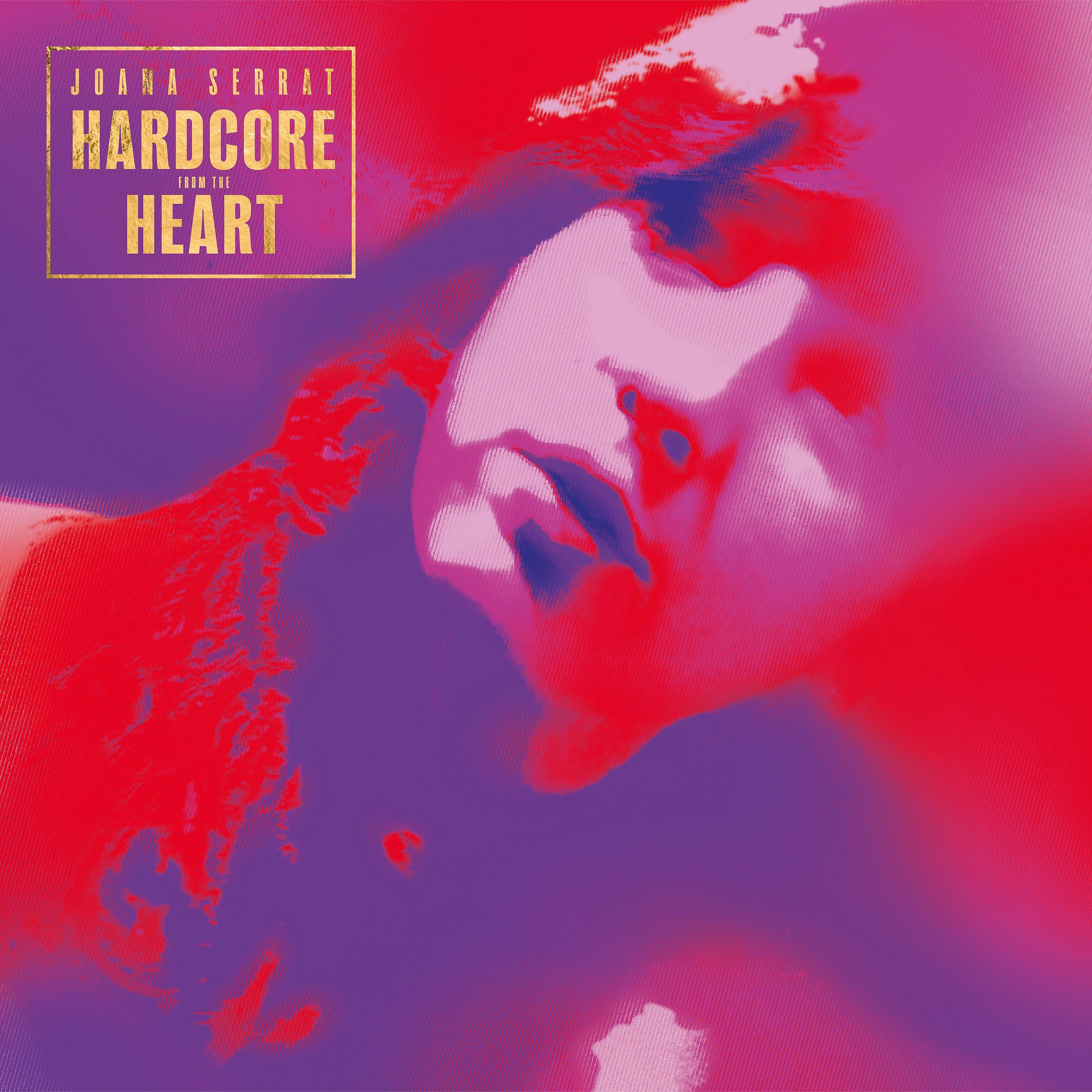 Постер альбома Hardcore from the Heart