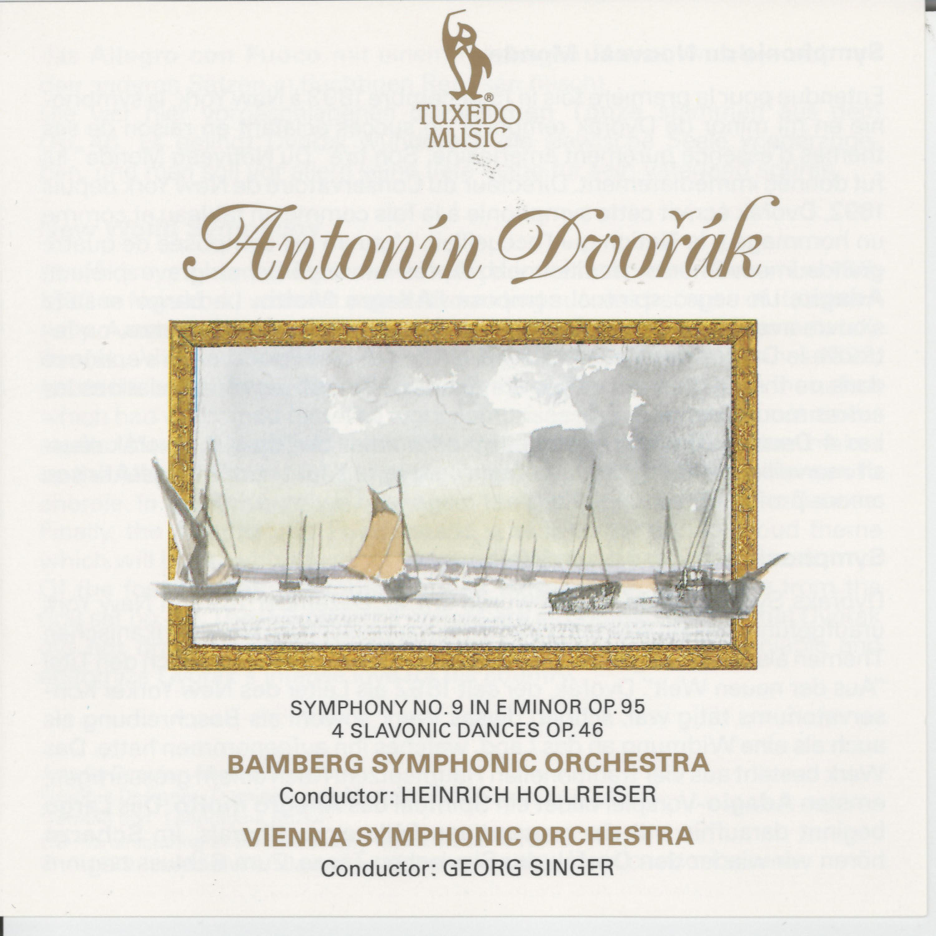 Vienna Symphonic Orchestra - Symphony No. 9 in E Minor, Op. 95: I. Adagio, Allegro molto