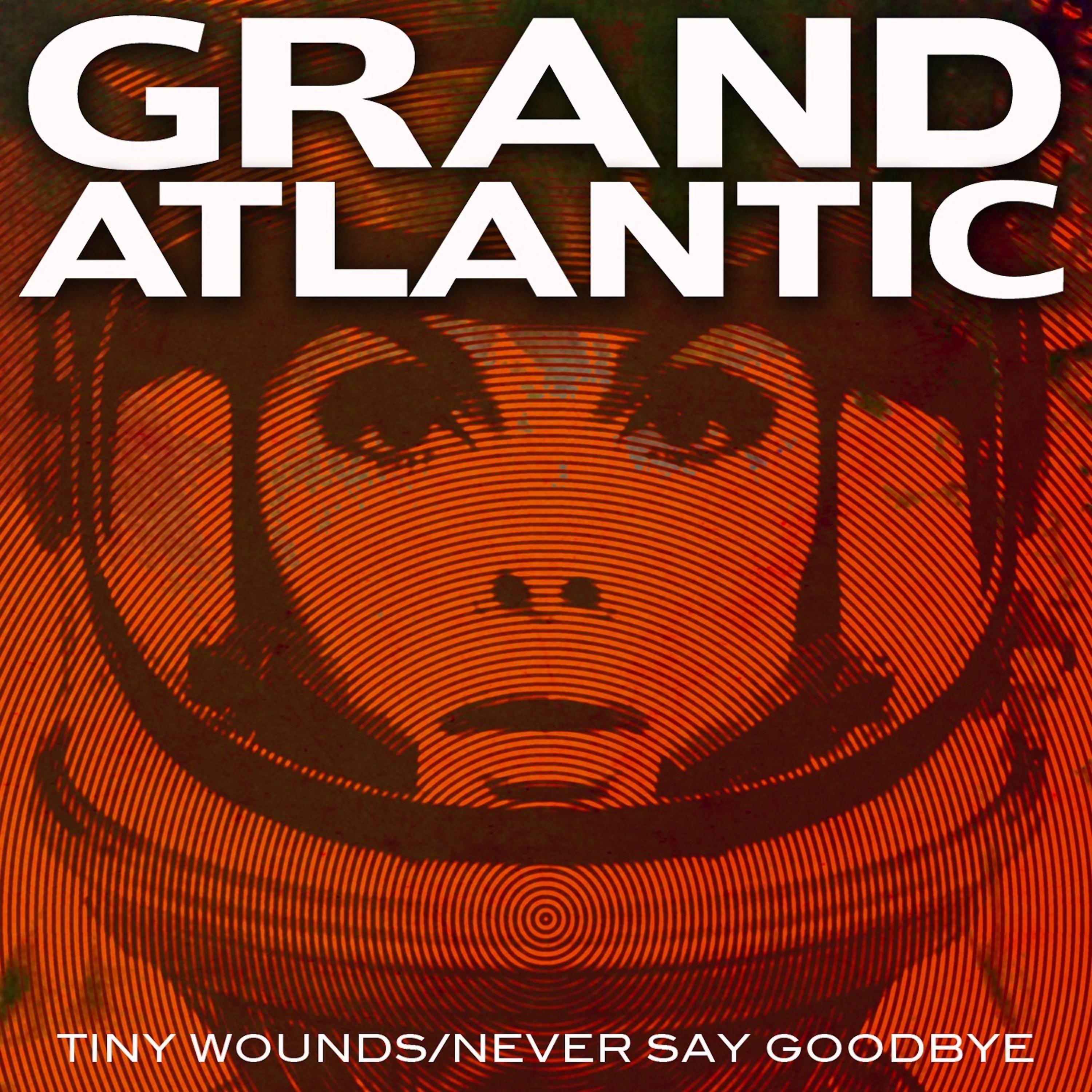 Постер альбома Tiny Wounds/Never Say Goodbye