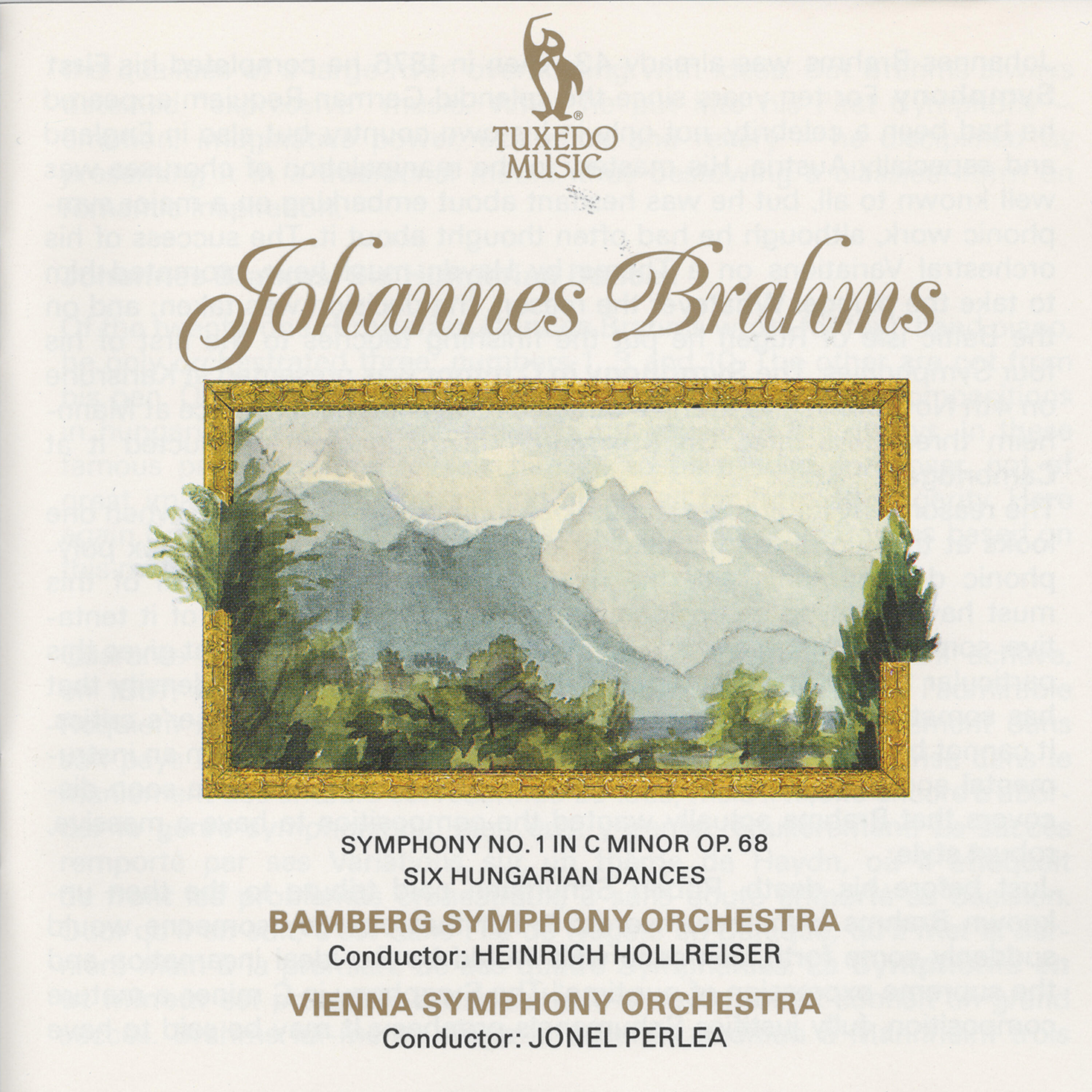 Bamberg Symphony Orchestra - Hungarian Dances, WoO 1, No. 6 in D Major: Vivace