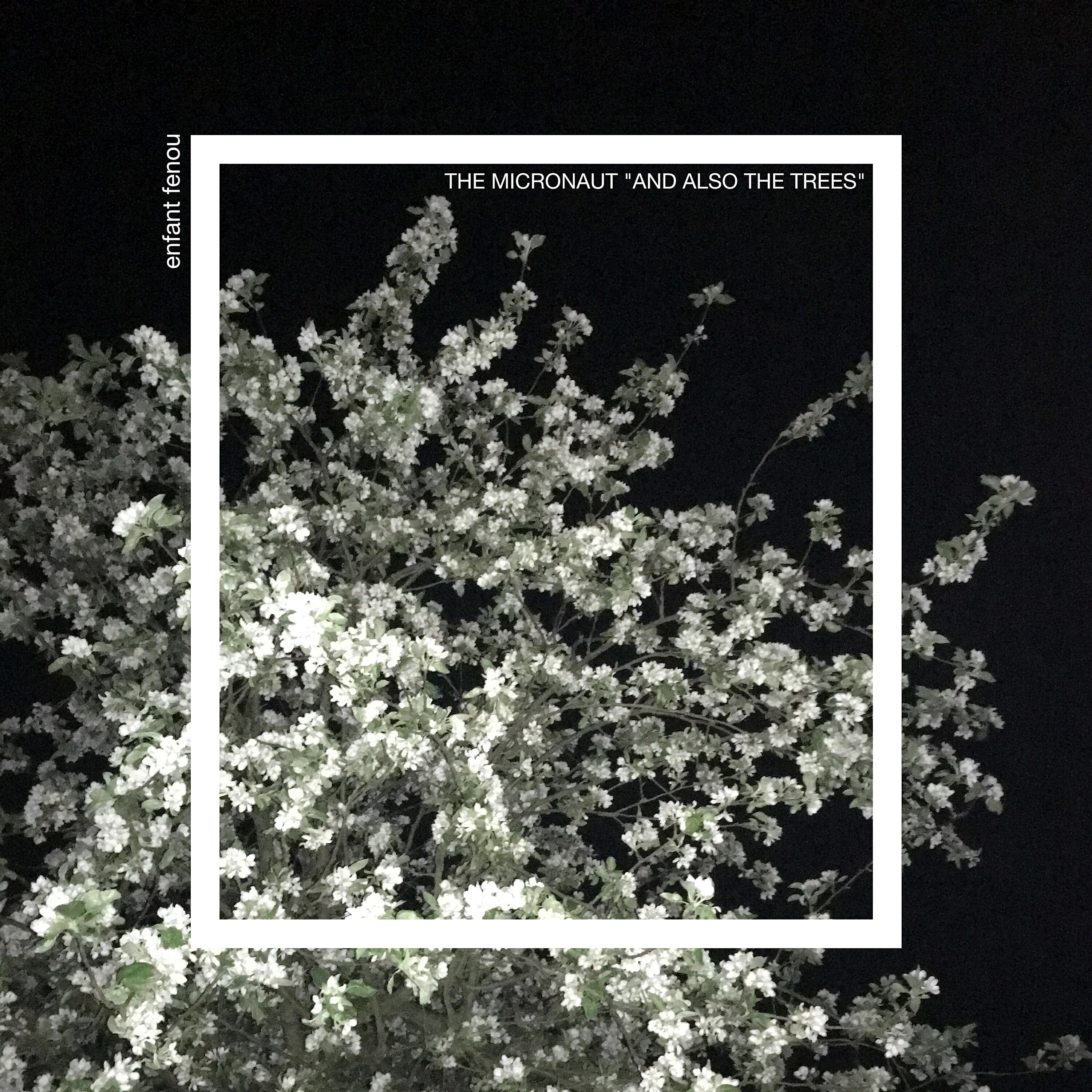 The Micronaut - Yew