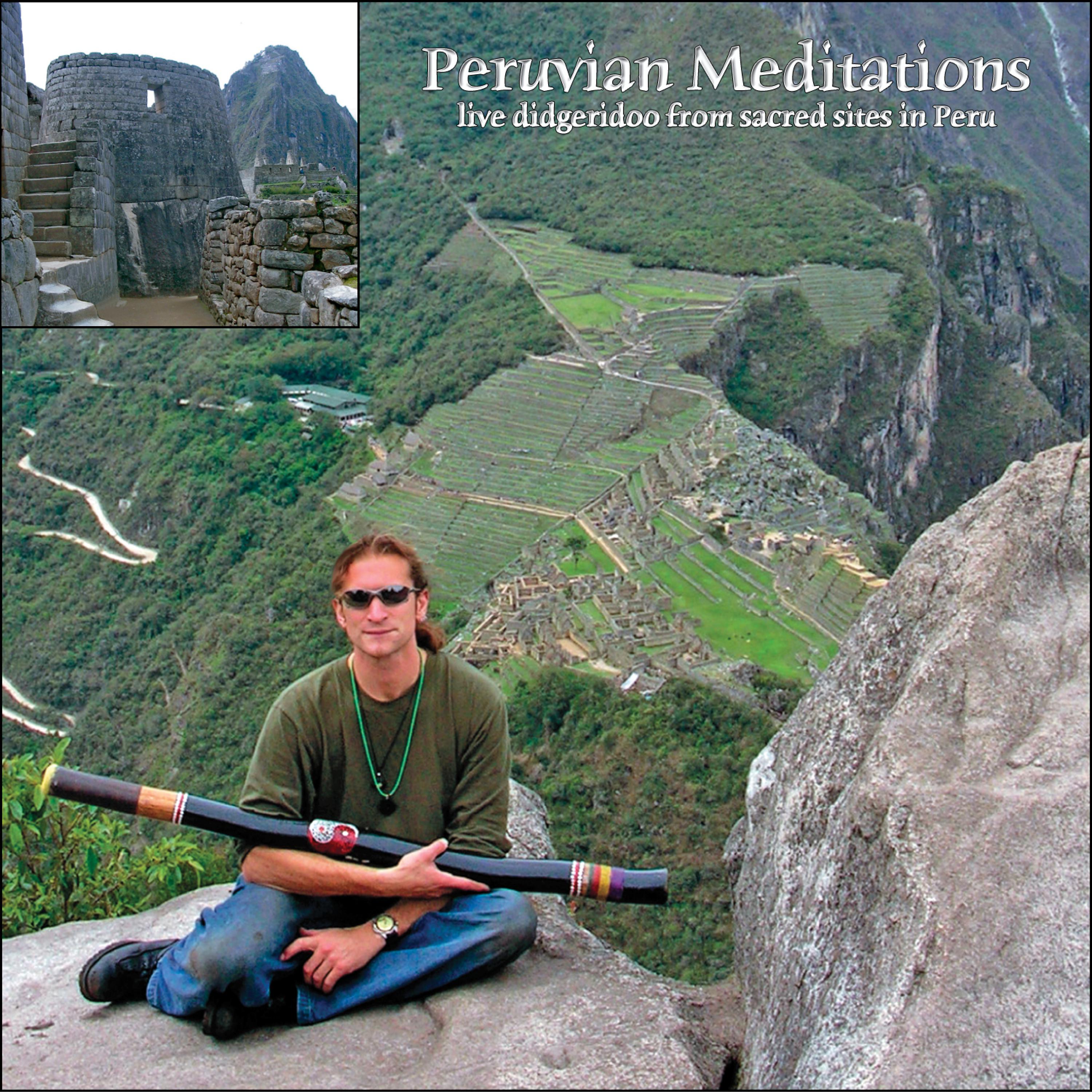 Постер альбома Peruvian Meditations