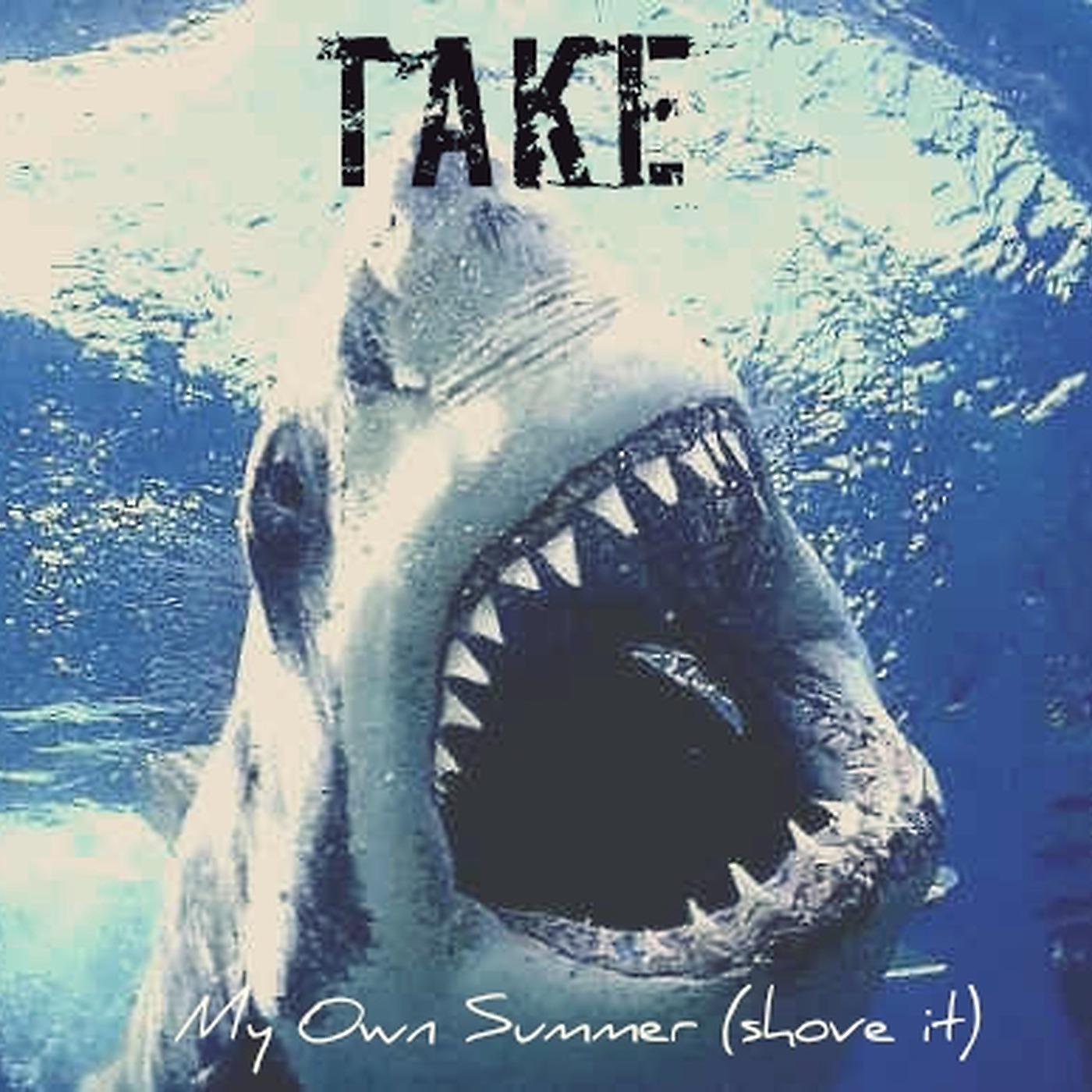 Постер альбома My Own Summer (Shove It)