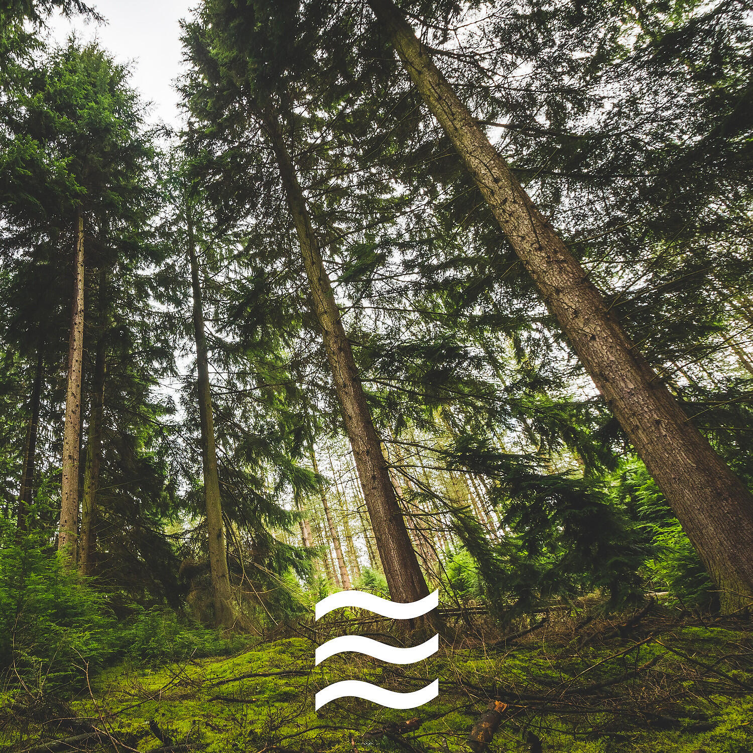 Calming Rainfall Sounds for Babies Relief to Sleep - Snug Rainfall Sounds