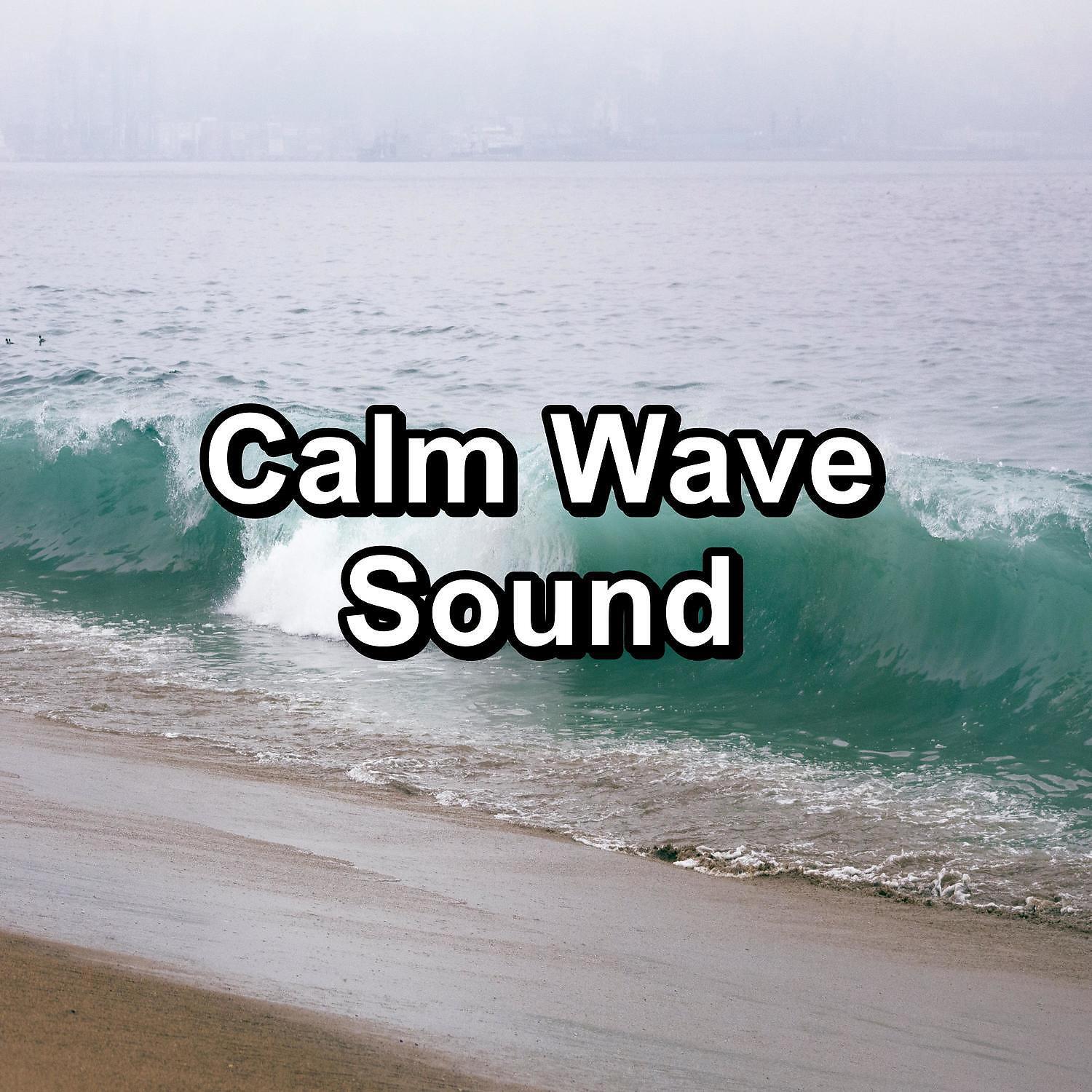 Sound of Nature - Personal Wave Therapy Healing Water Sounds to Relief the Night