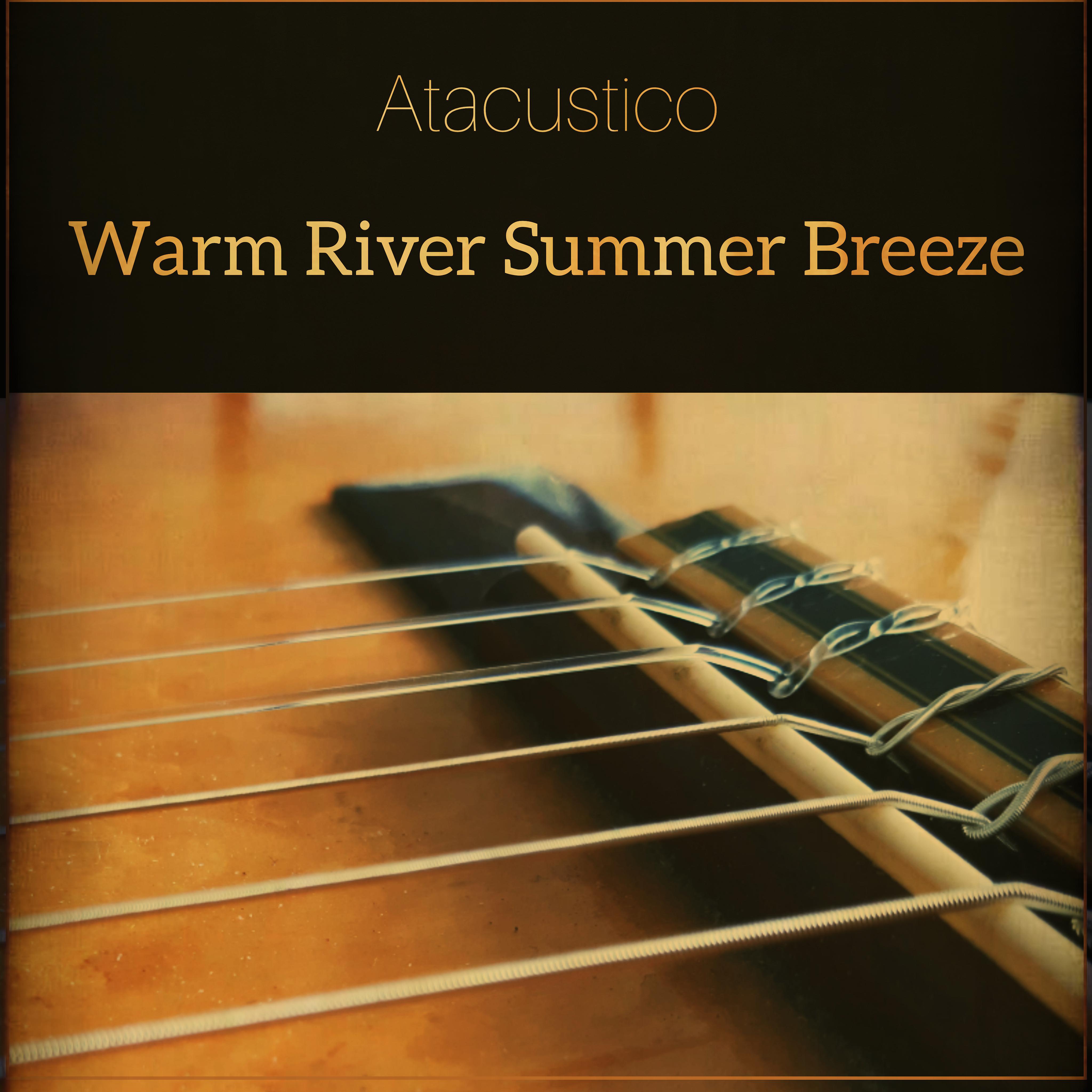 Постер альбома Warm River Summer Breeze
