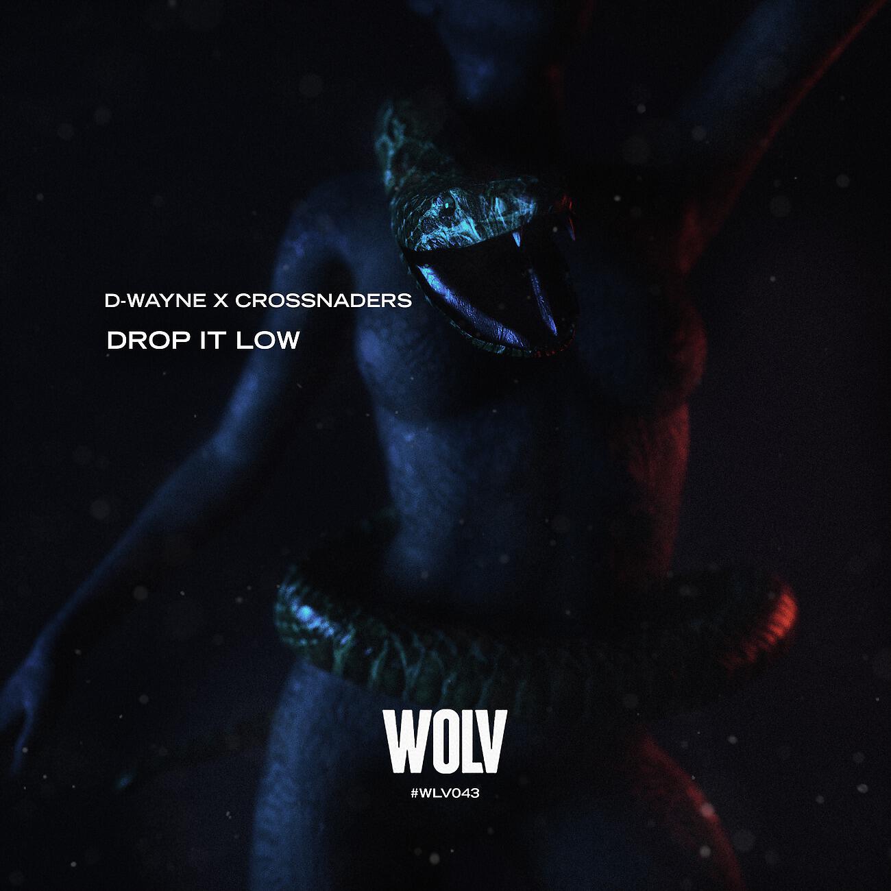 D-Wayne - Drop It Low