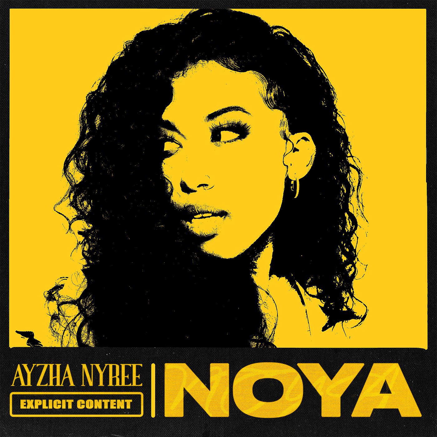Постер альбома Noya