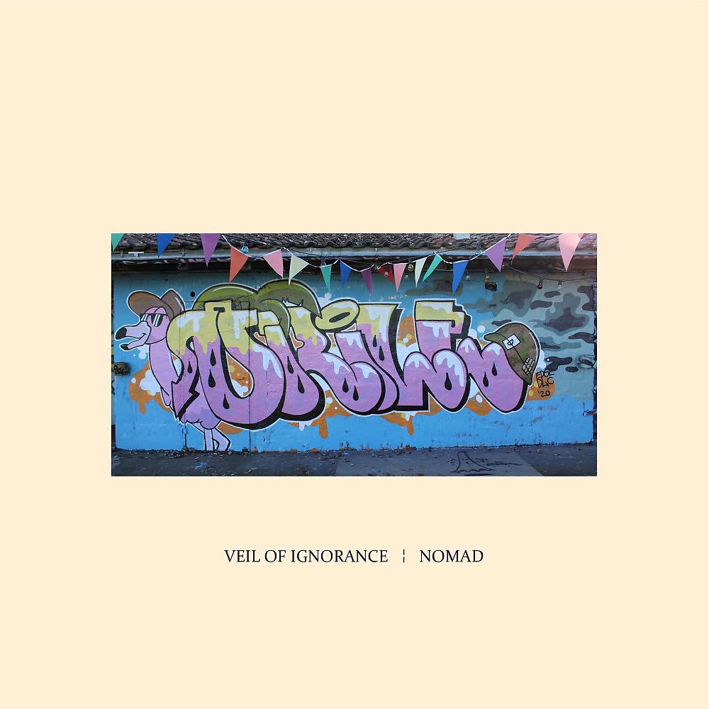 Постер альбома Veil of Ignorance / Nomad