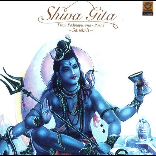 Постер альбома Shiva Gita, Pt. Il