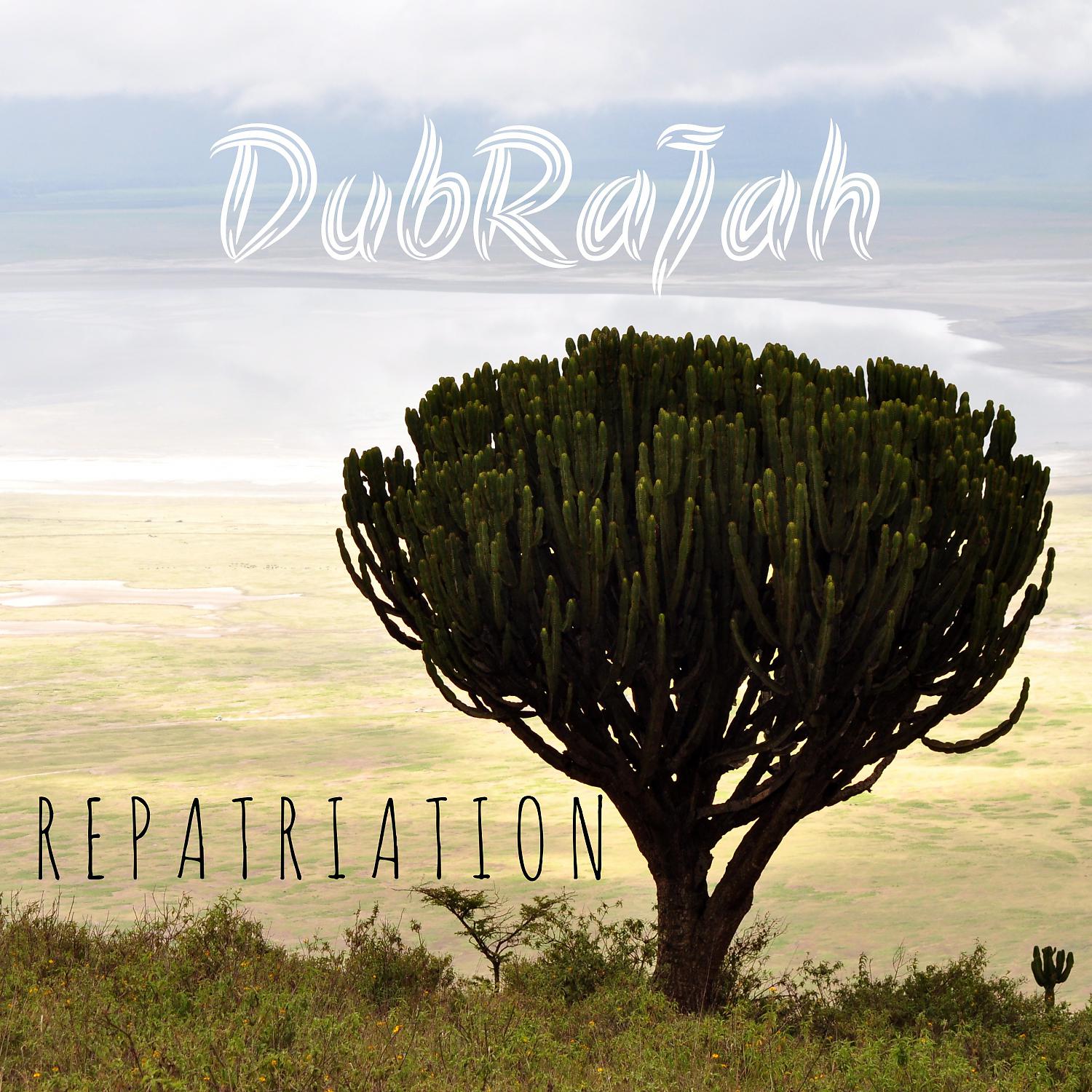 Постер альбома Repatriation