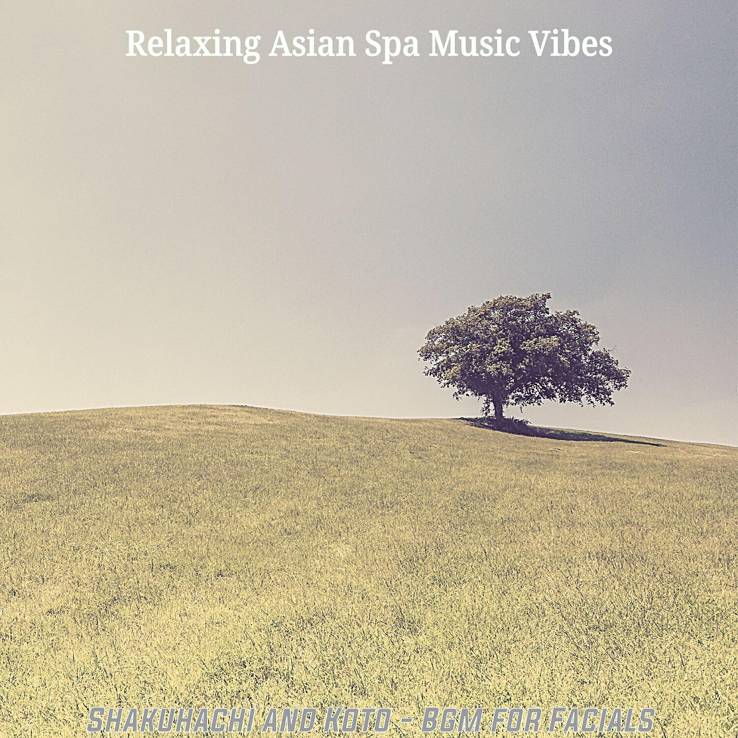 Relaxing Asian Spa Music Vibes - Heavenly Moods for Body Scrubs