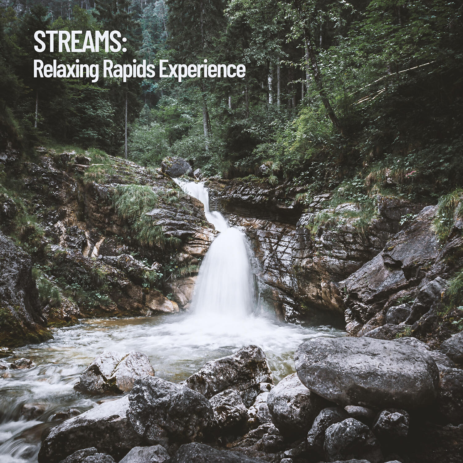 Water Science - Walking with the River
