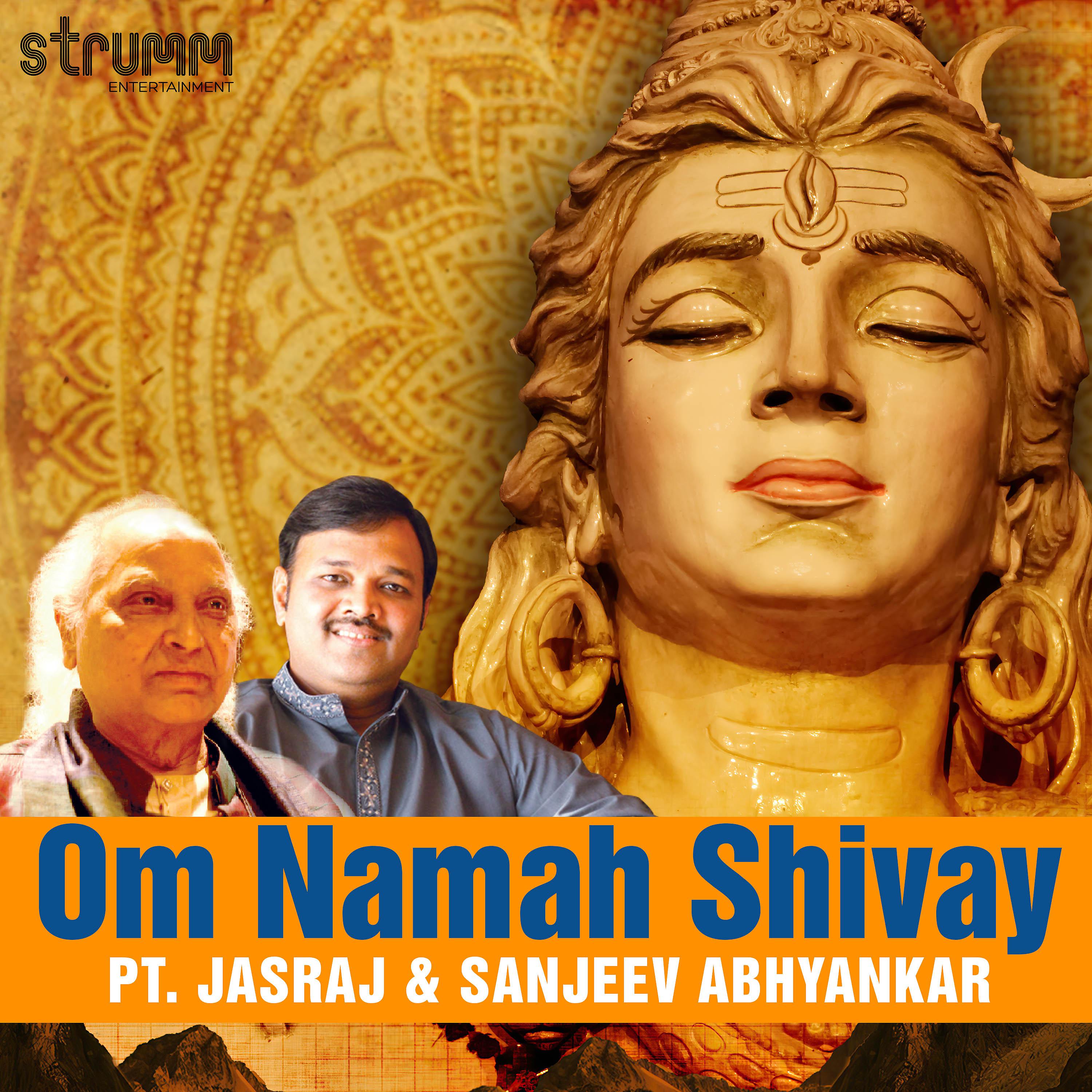 Постер альбома Om Namah Shivay