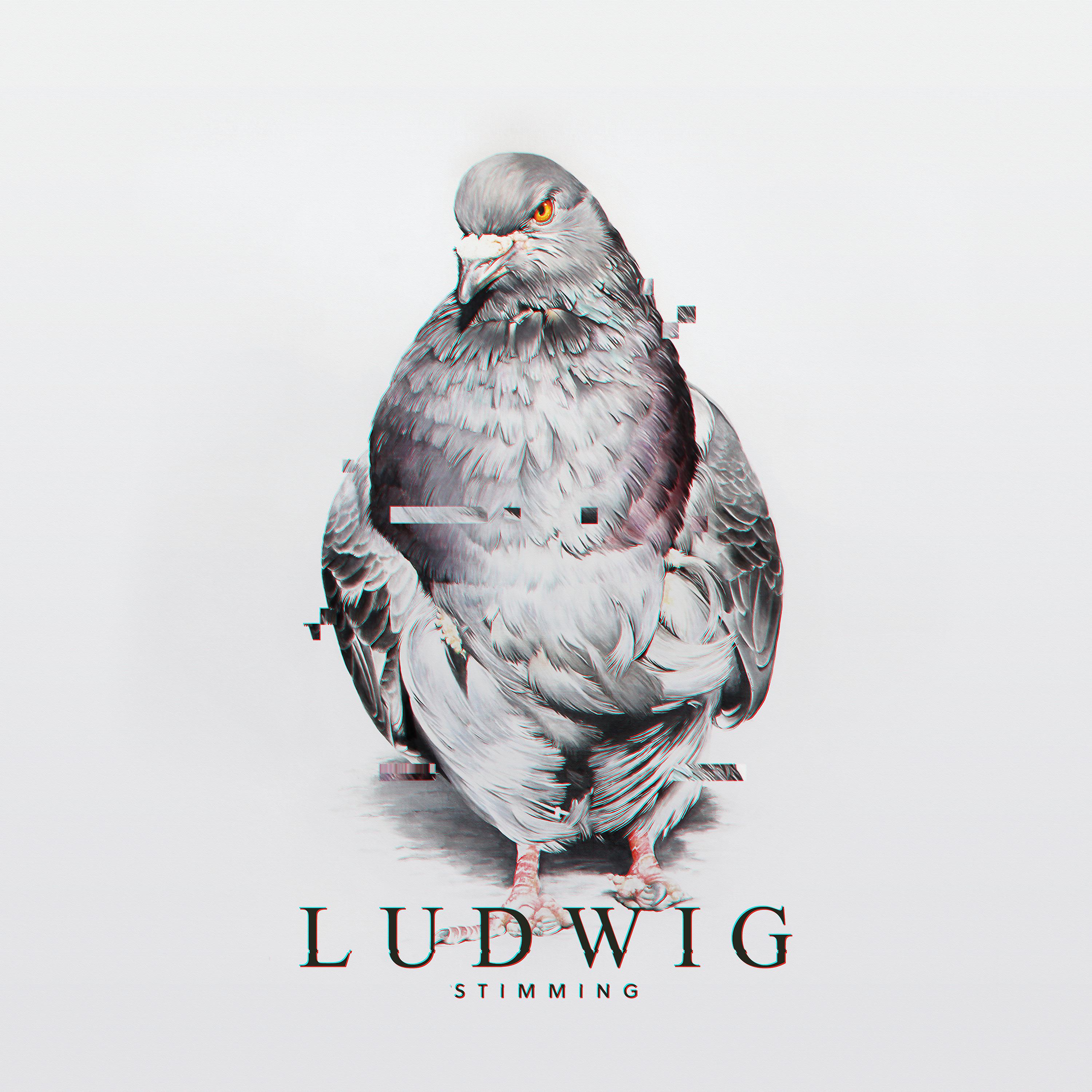 Постер альбома Ludwig