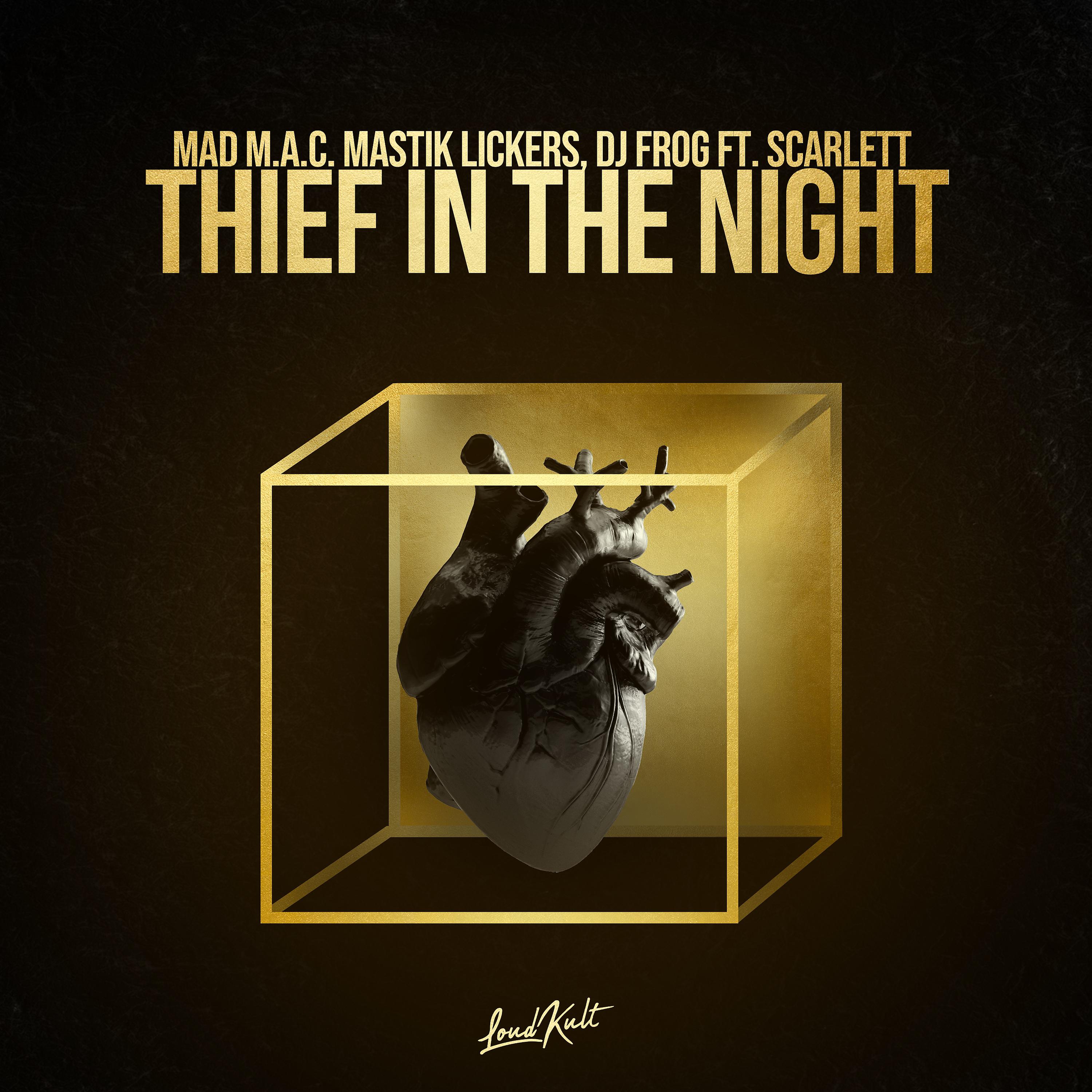 Постер альбома Thief In The Night