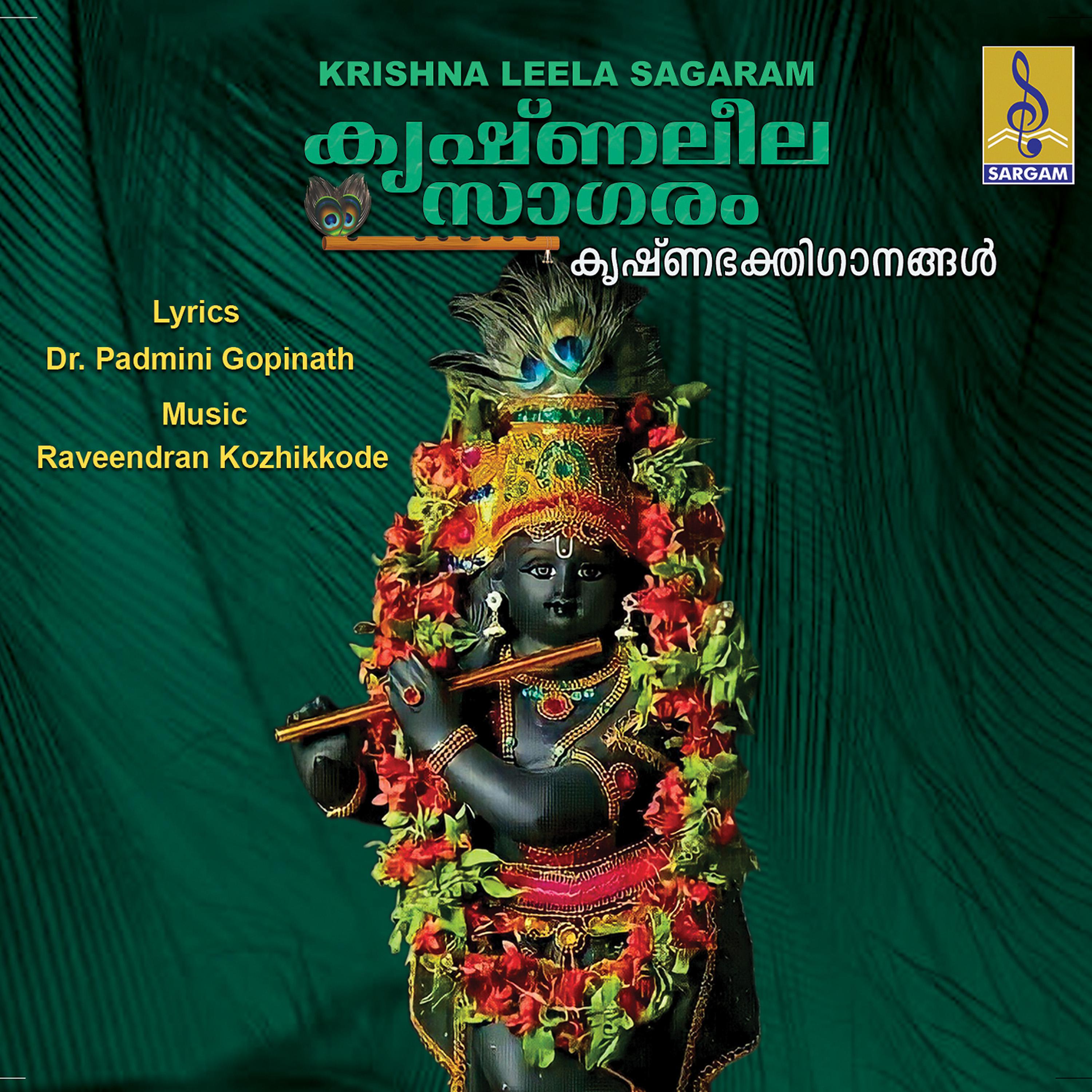 Постер альбома Krishna Leela Sagaram