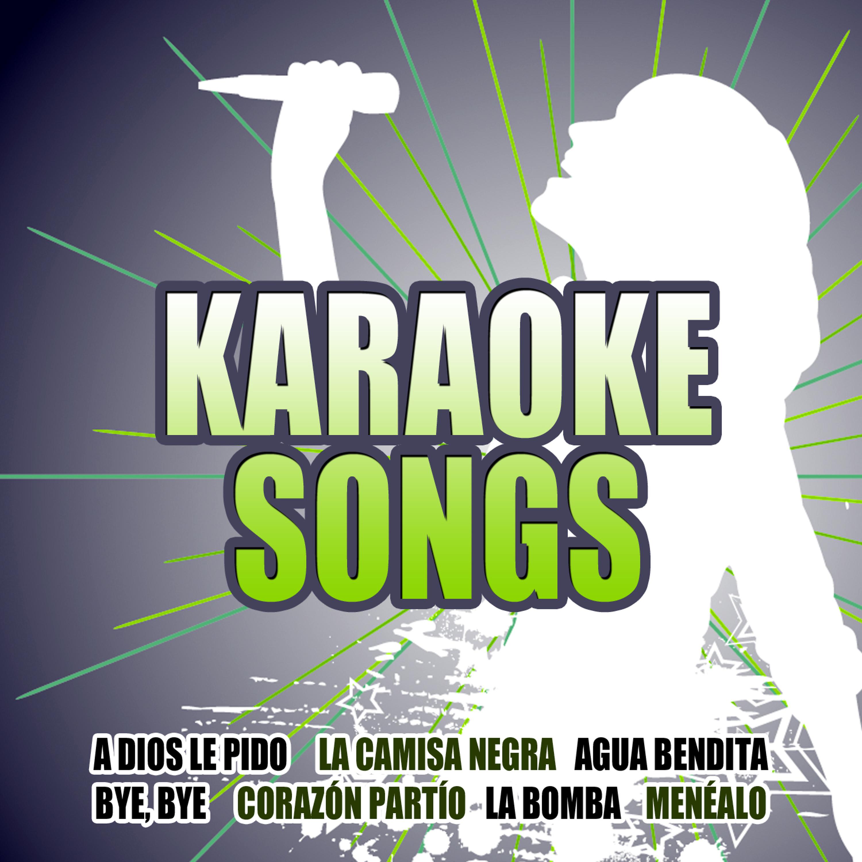 Постер альбома Karaoke Songs