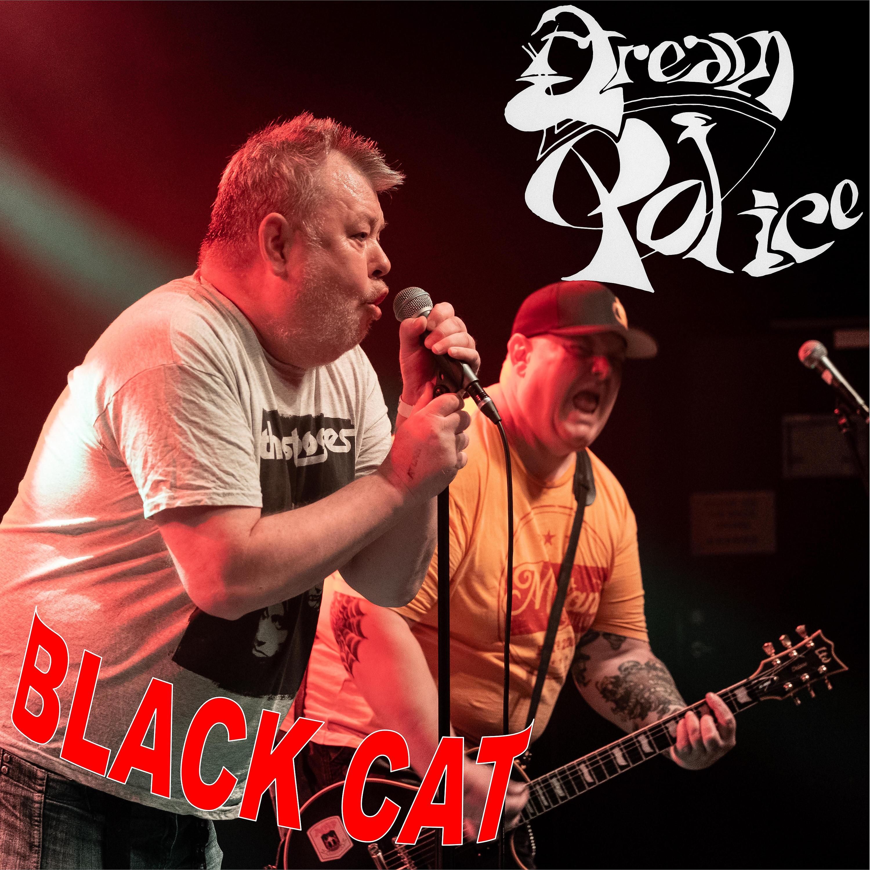 Постер альбома Black Cat (Live)