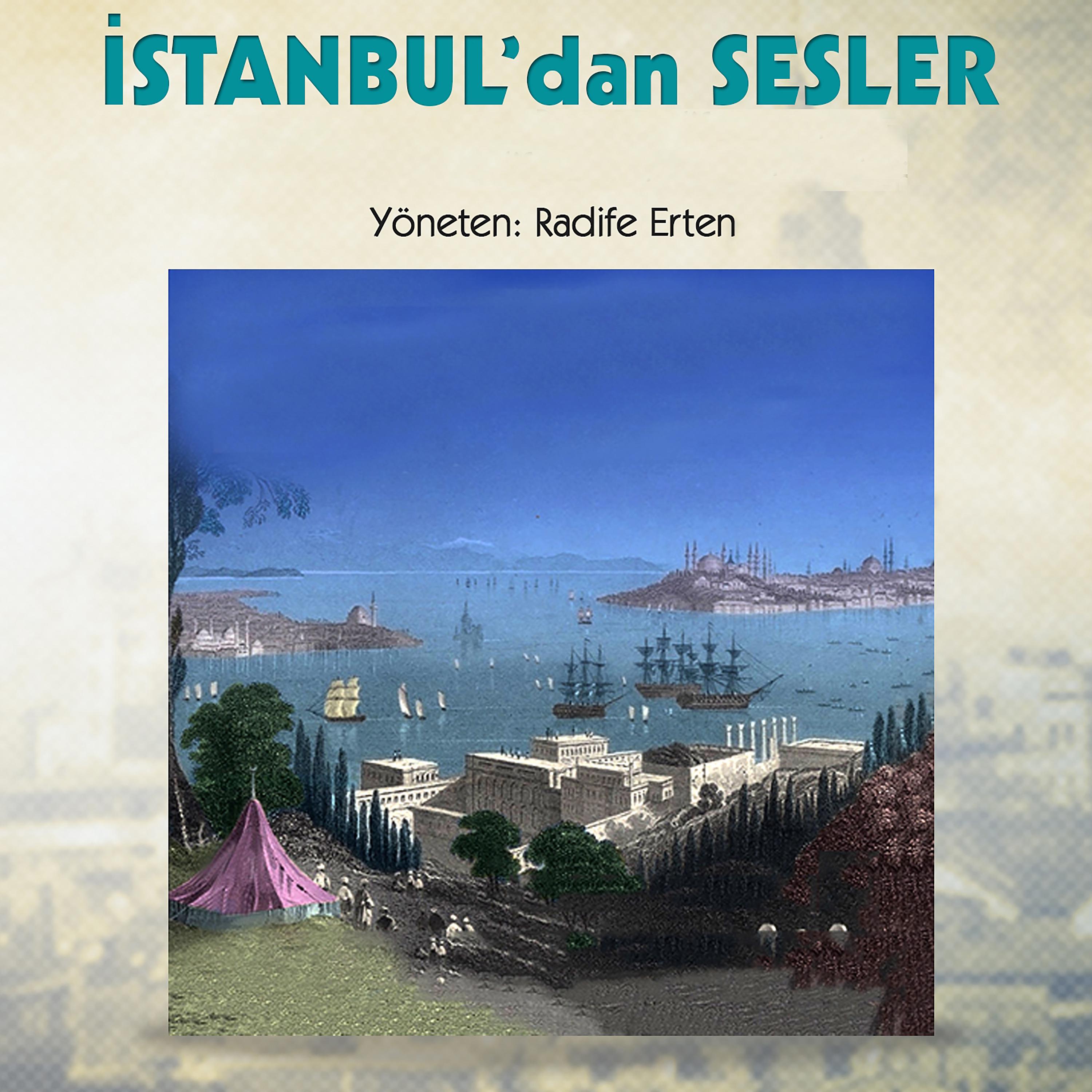 Постер альбома İstanbul'dan Sesler 