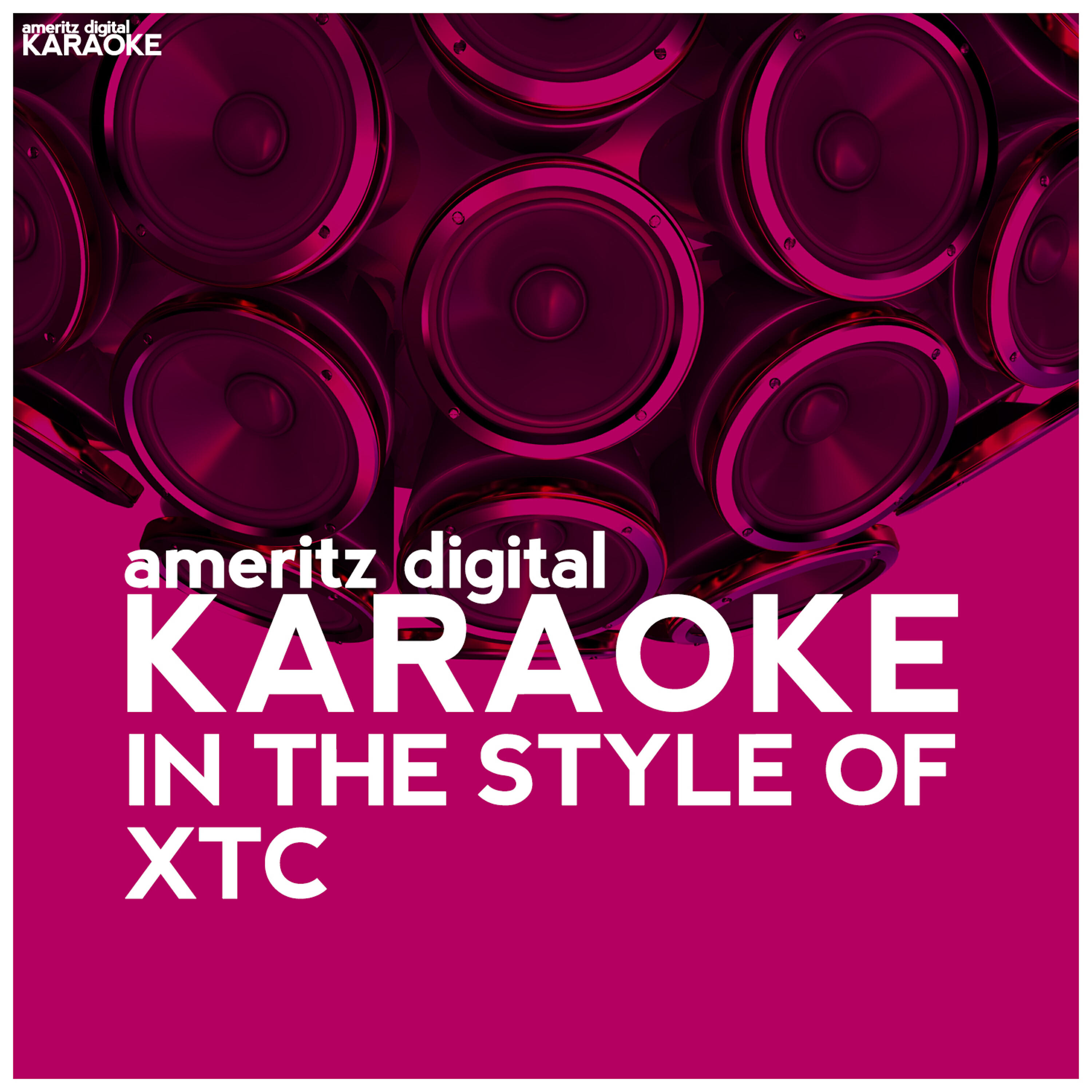 Ameritz Digital Karaoke - Sgt. Rock Is Going to Help Me (Karaoke Version)