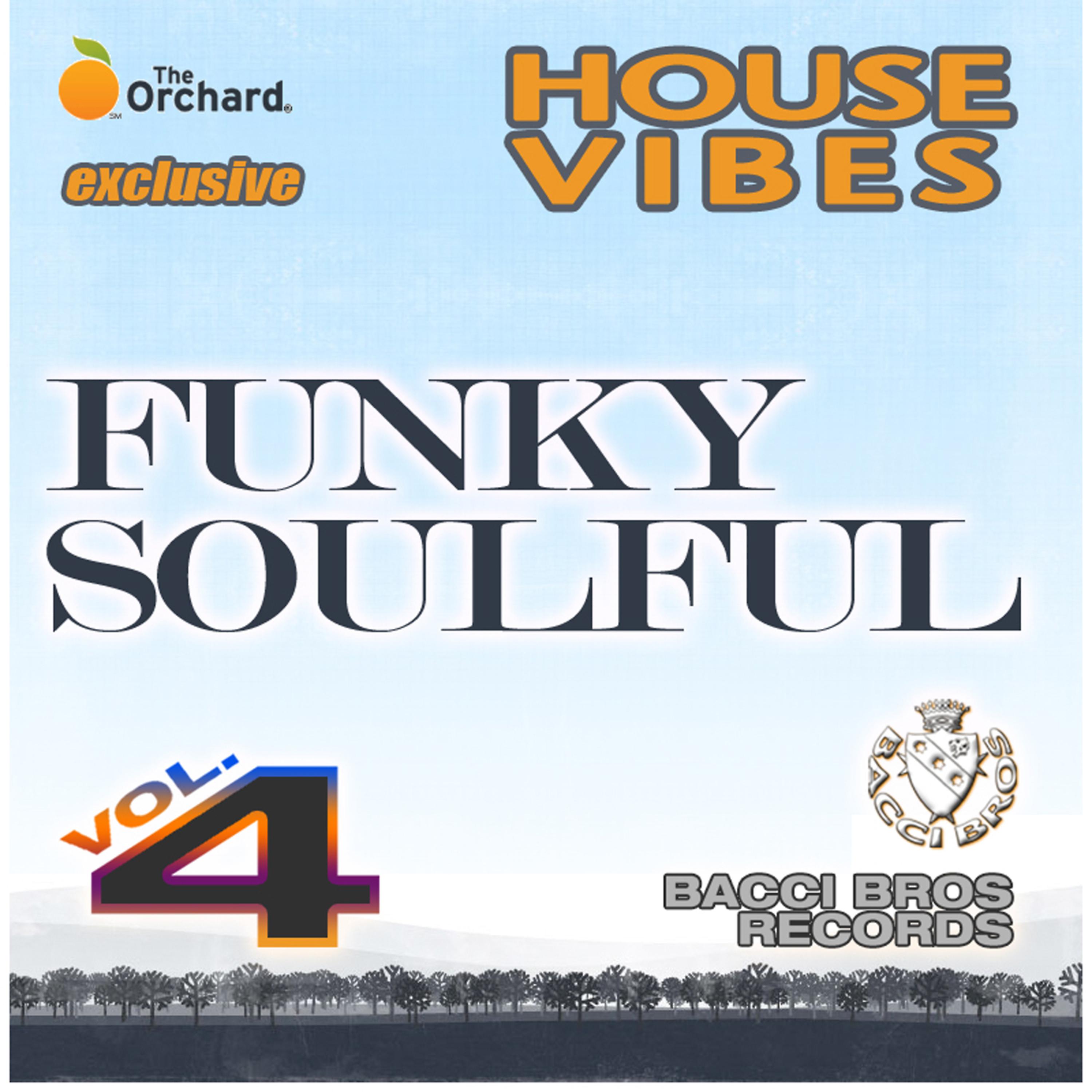 Постер альбома House Vibes: Funky Soulful, Vol. 4