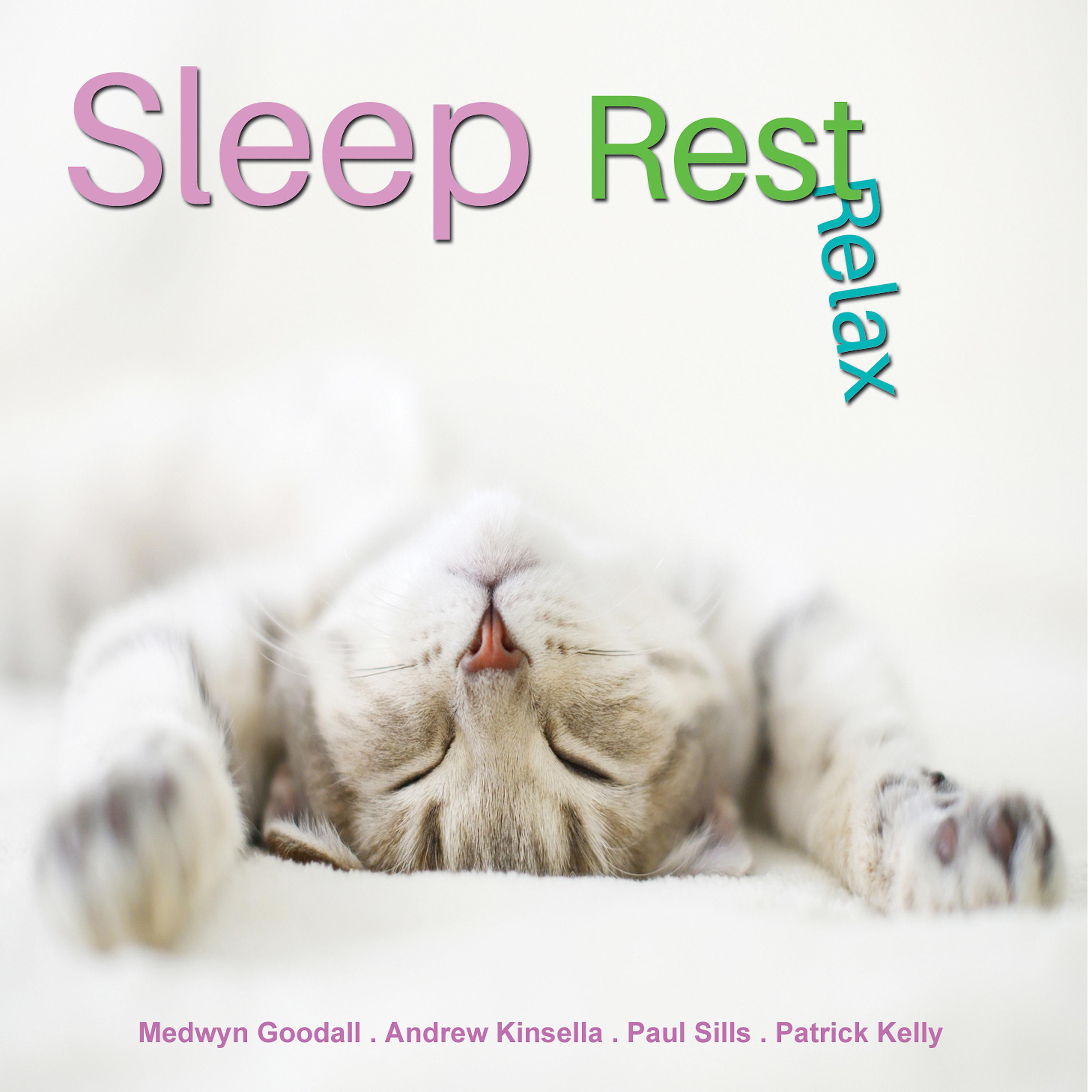 Постер альбома Sleep, Rest, Relax