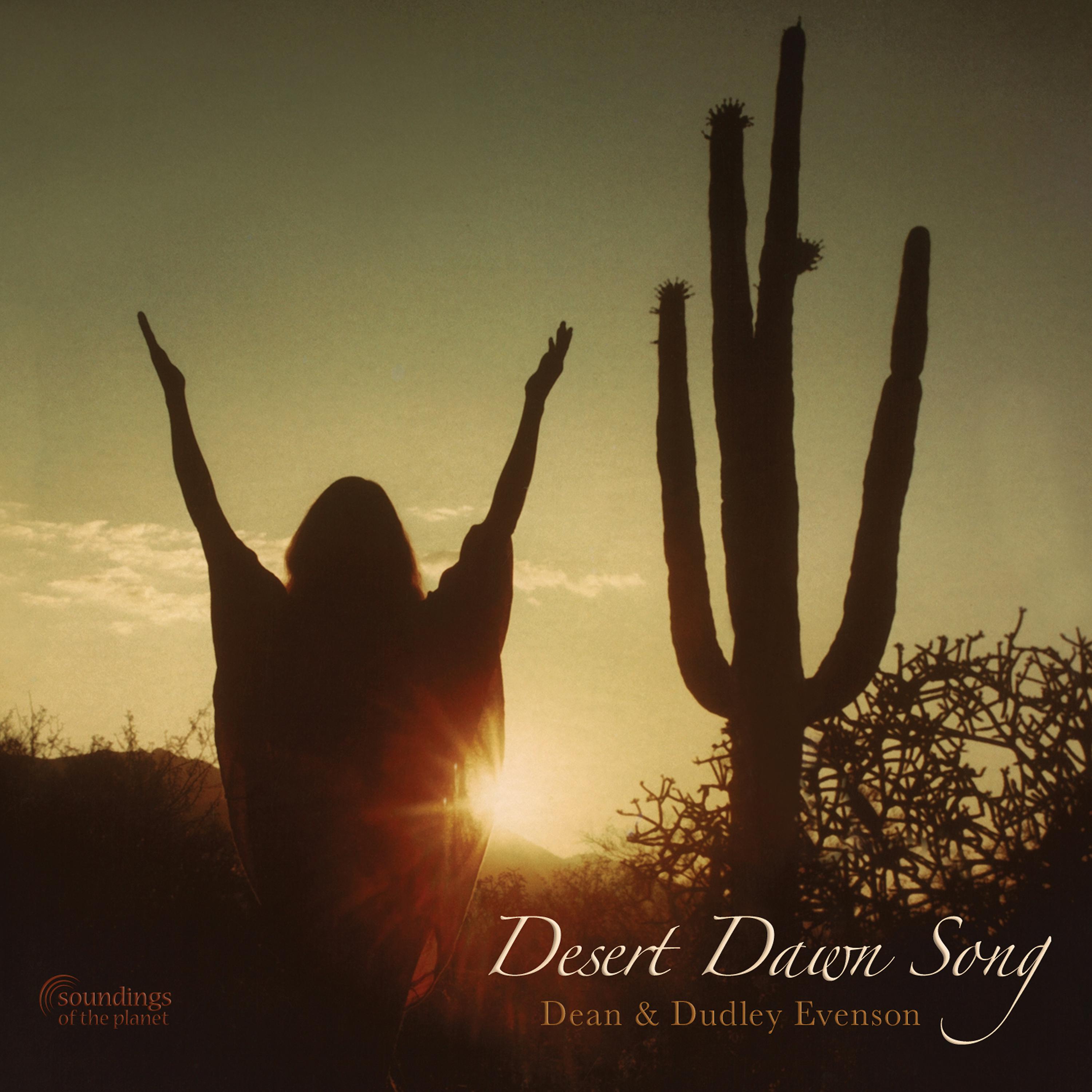 Постер альбома Desert Dawn Song