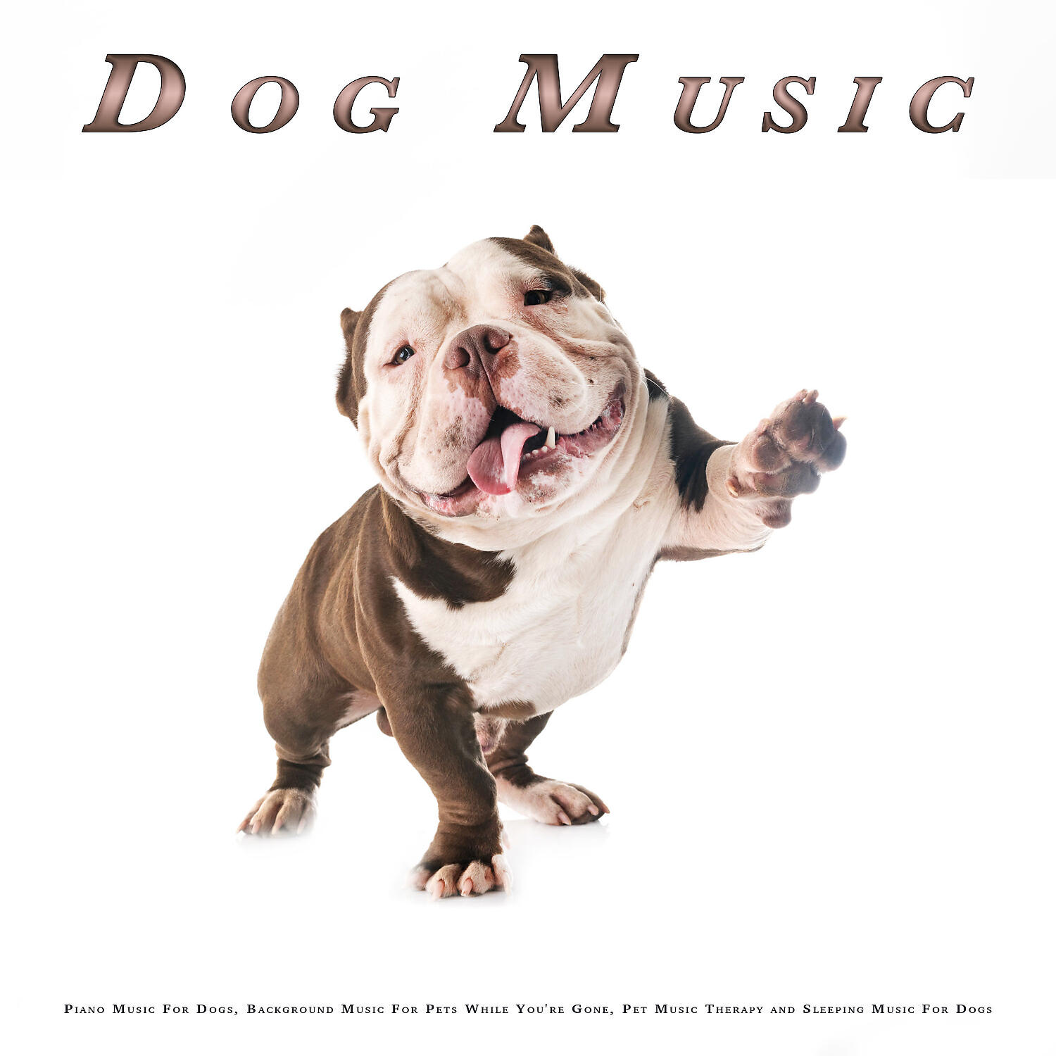 Dog Music - Calm Dog Music