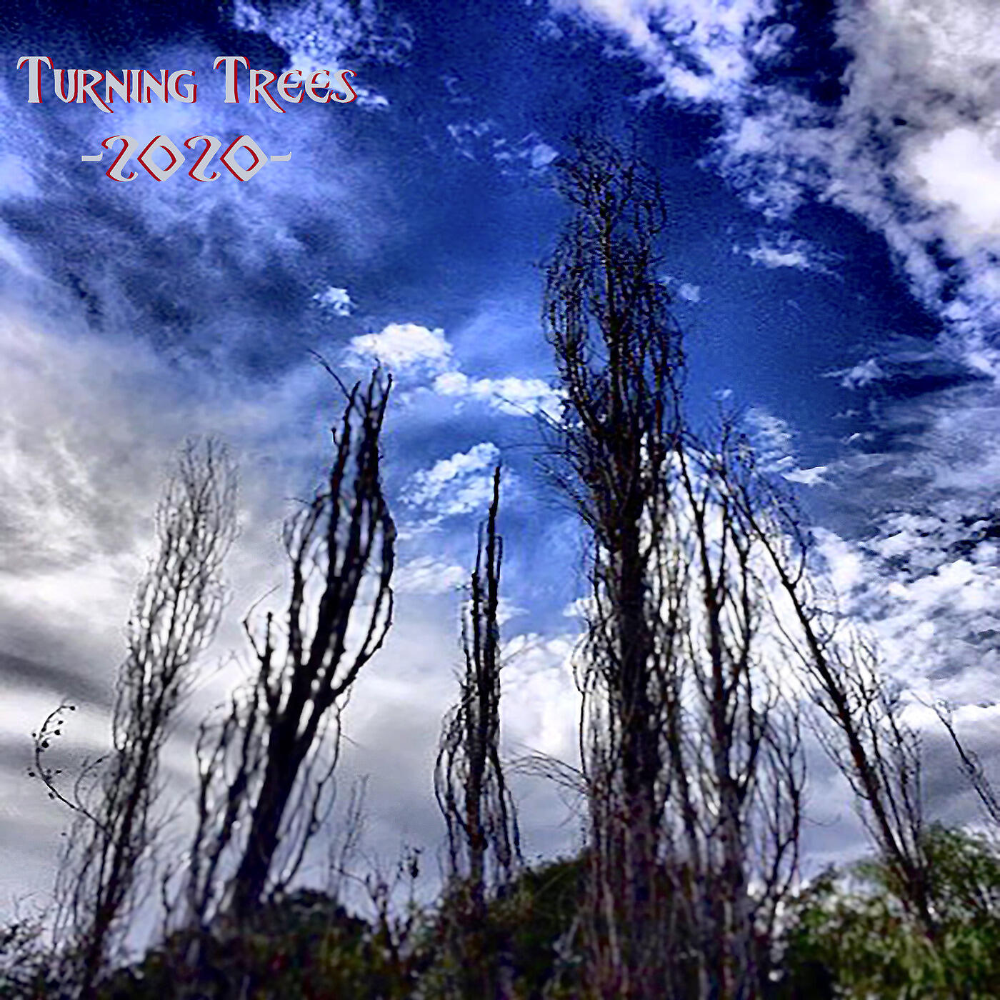 Turning Trees - Electric Romeo