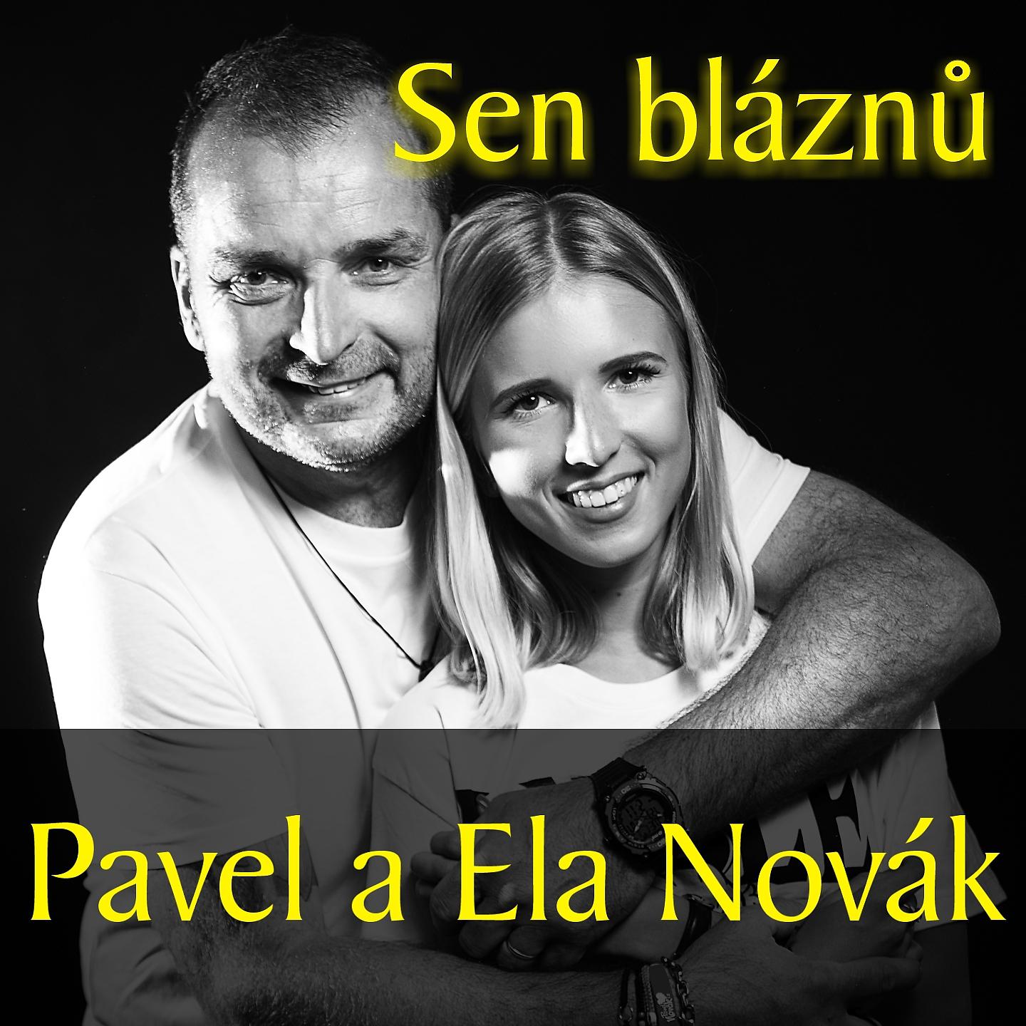 Постер альбома Sen bláznů