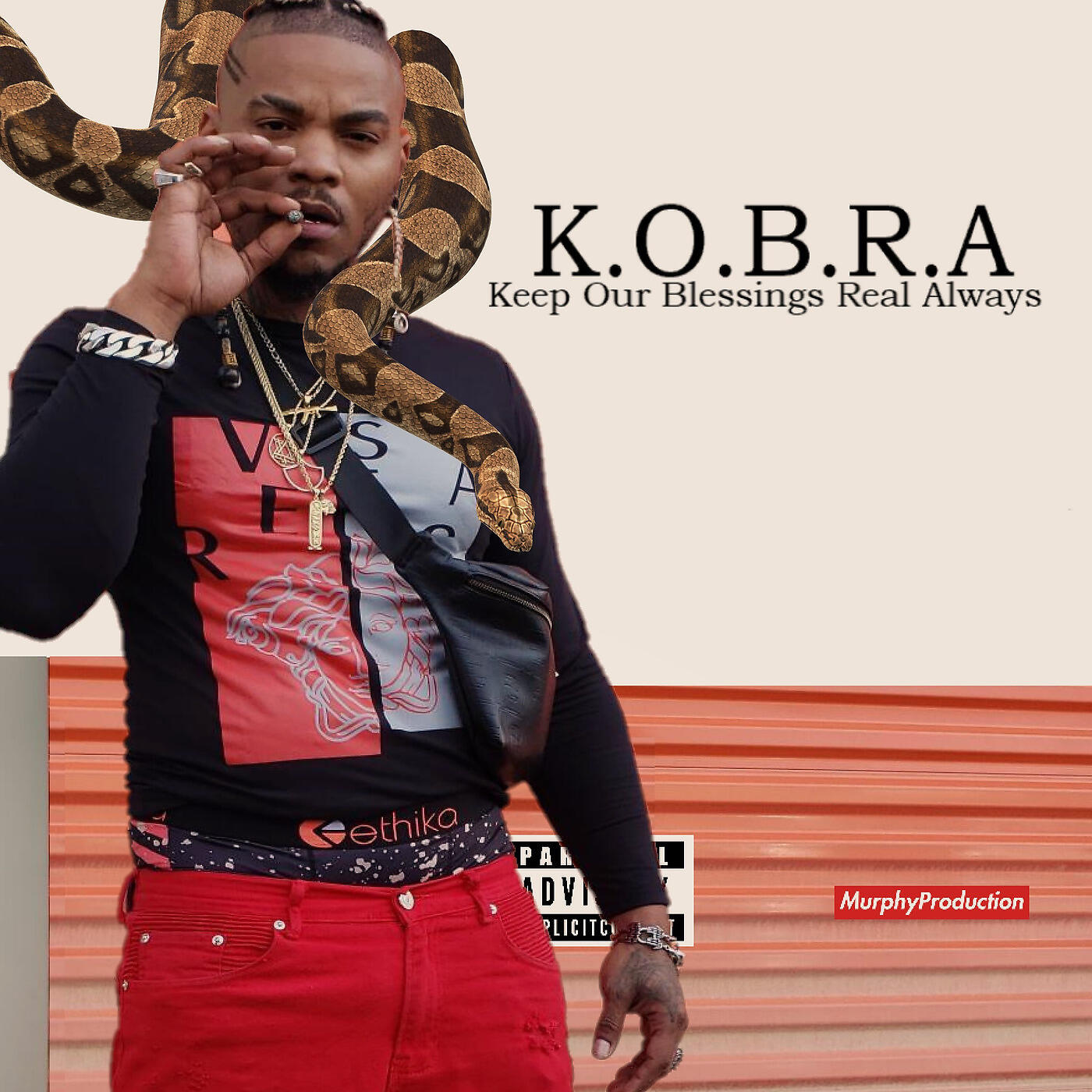 K.O.B.R.A - Tupac Shakur