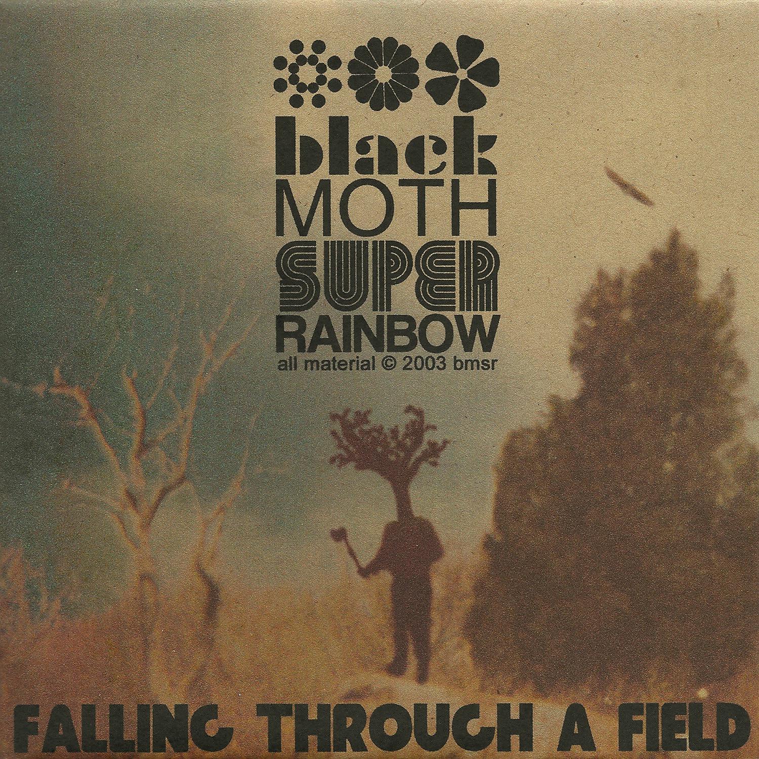 Постер альбома Falling Through a Field