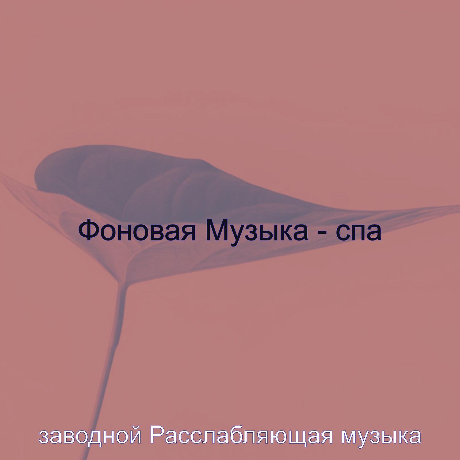 Постер альбома Фоновая Музыка - спа