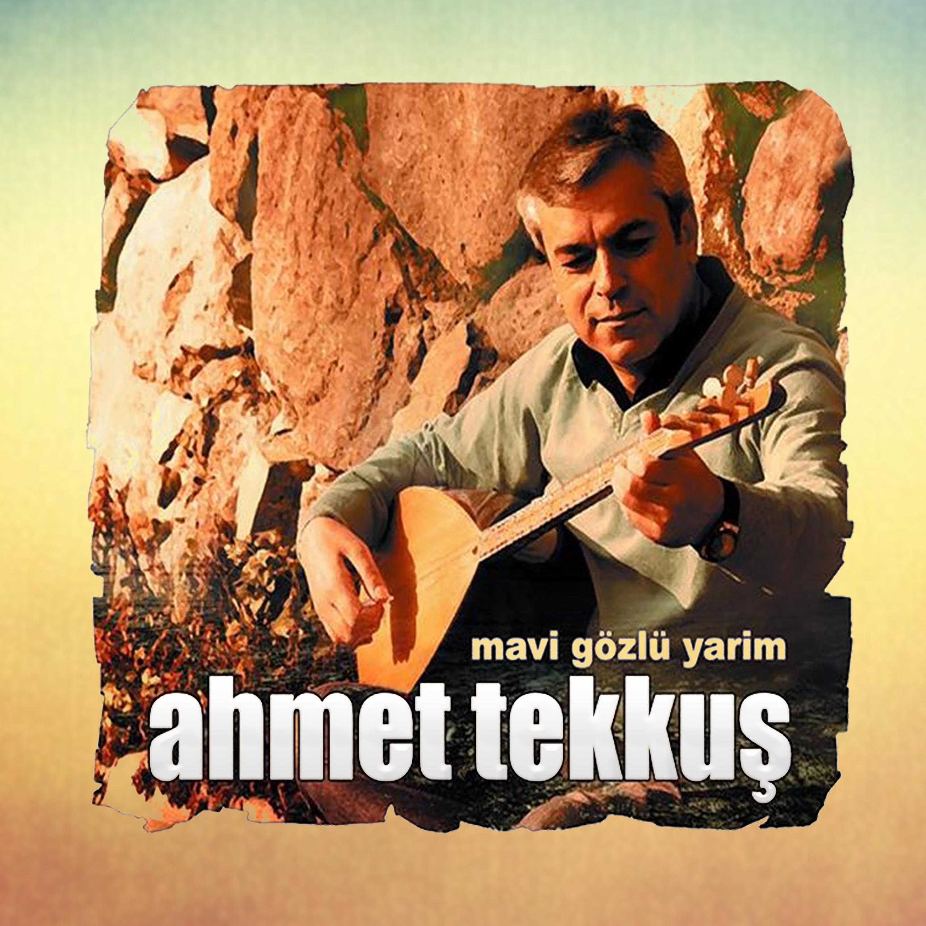 Ahmet Tekkuş - Alman Taksisi