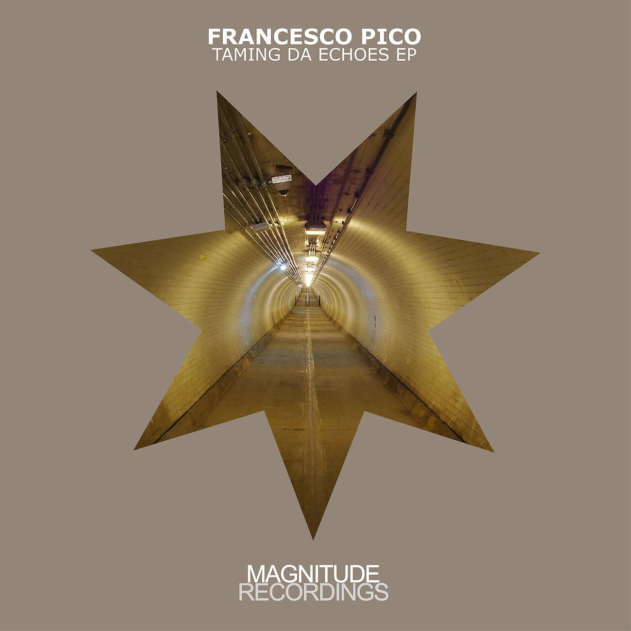 Francesco Pico - Bugs Jump Out Of The Water (Pole Folder Remix)