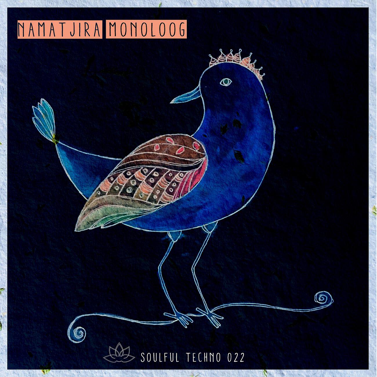Namatjira - Pompilidae