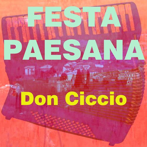 Постер альбома Festa paesana
