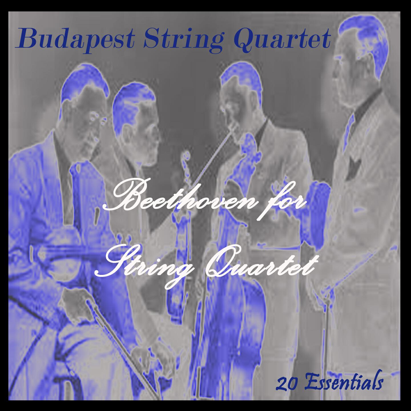 Budapest String Quartet - String Quartet No. 1, In F Major, Op. 18: I. Allegro Con Brio