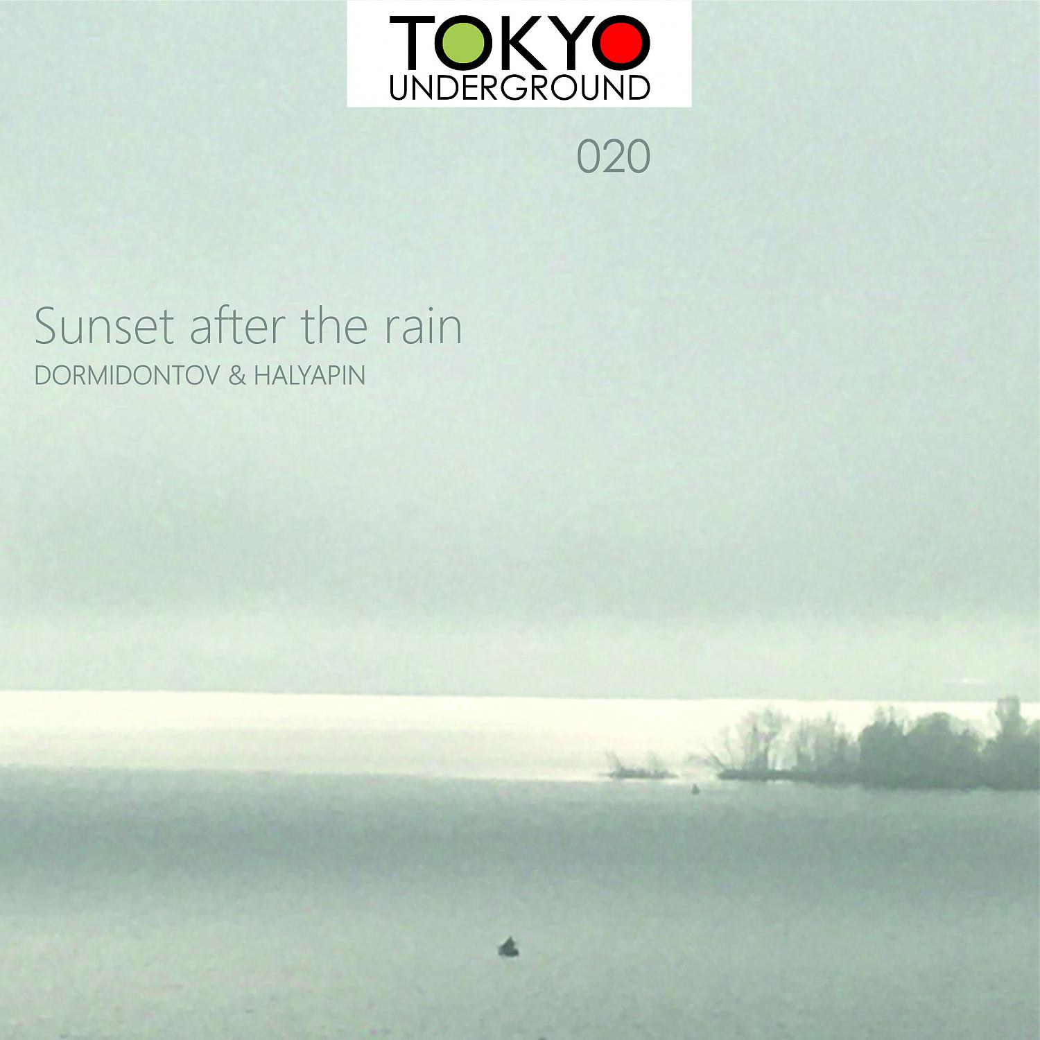 Постер альбома Sunset after the rain