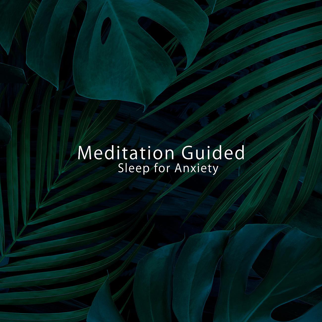 Постер альбома Meditation Guided Sleep for Anxiety
