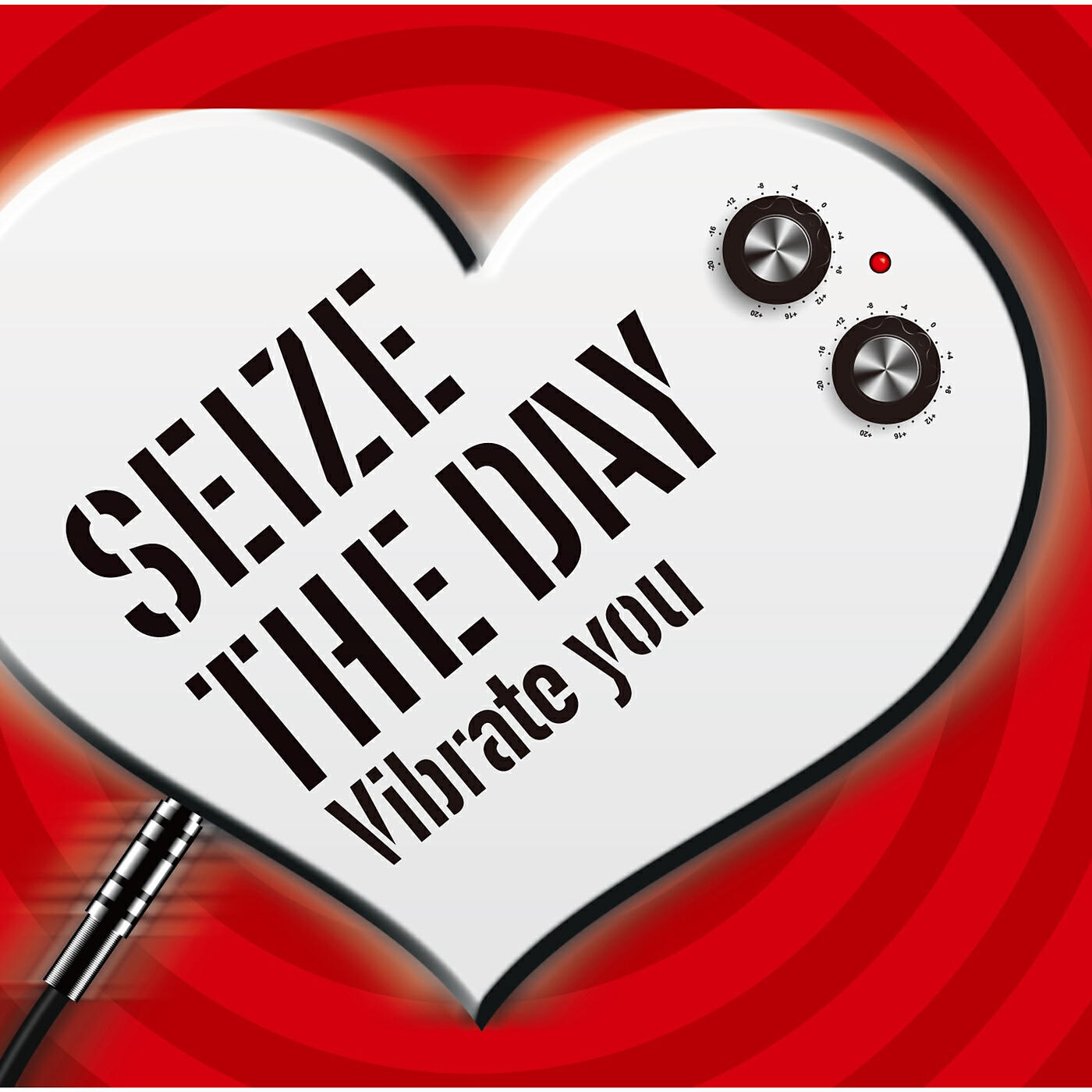 SEIZE THE DAY - Vibrate you