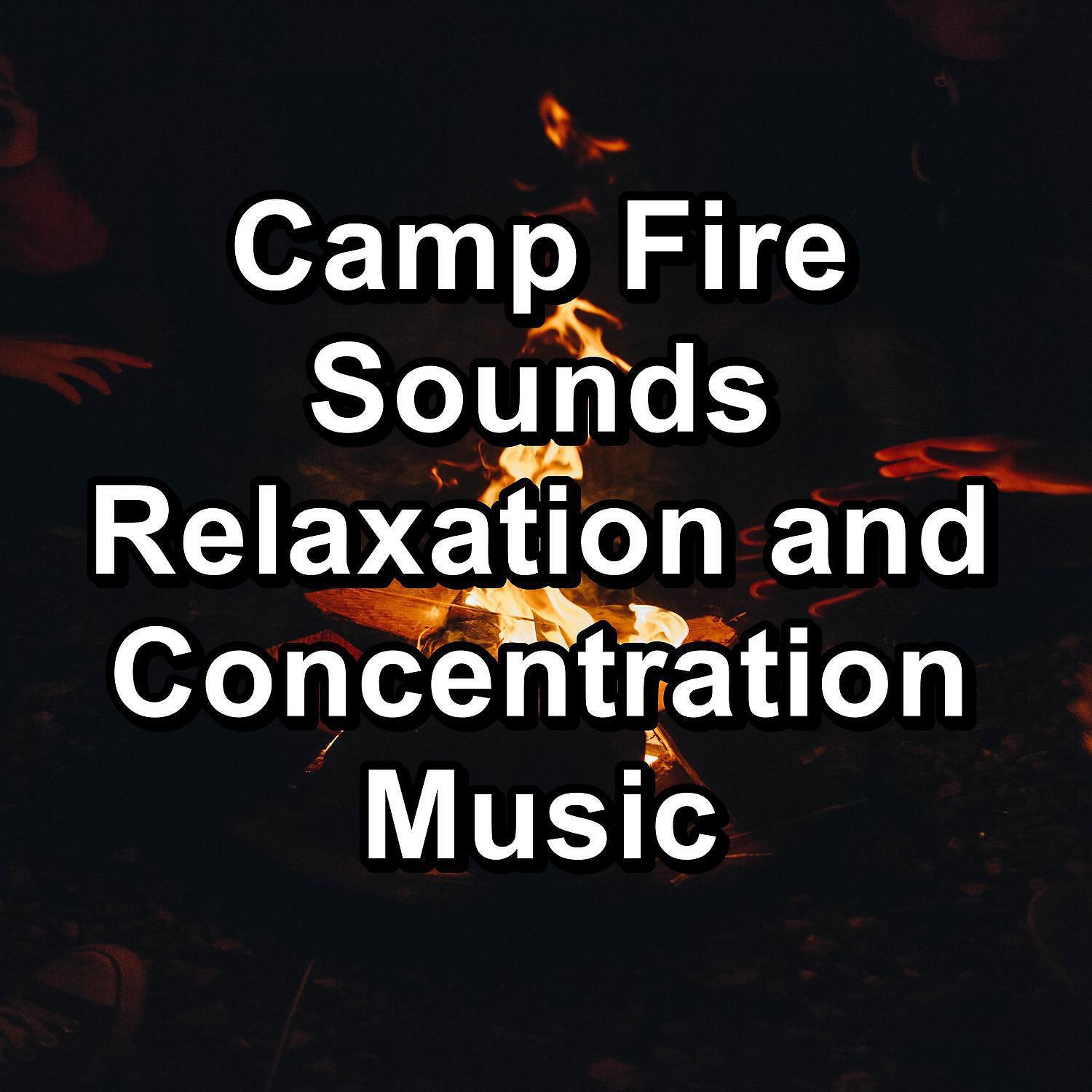 YOGA - Soothing Fire Sounds For Studying To Loop for 24 Hours