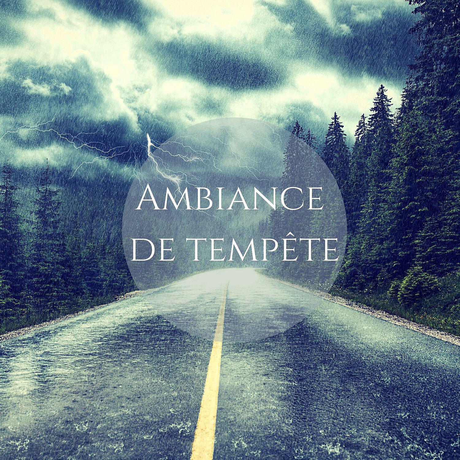 Zone de la Musique Zen - Pluie de fenêtre