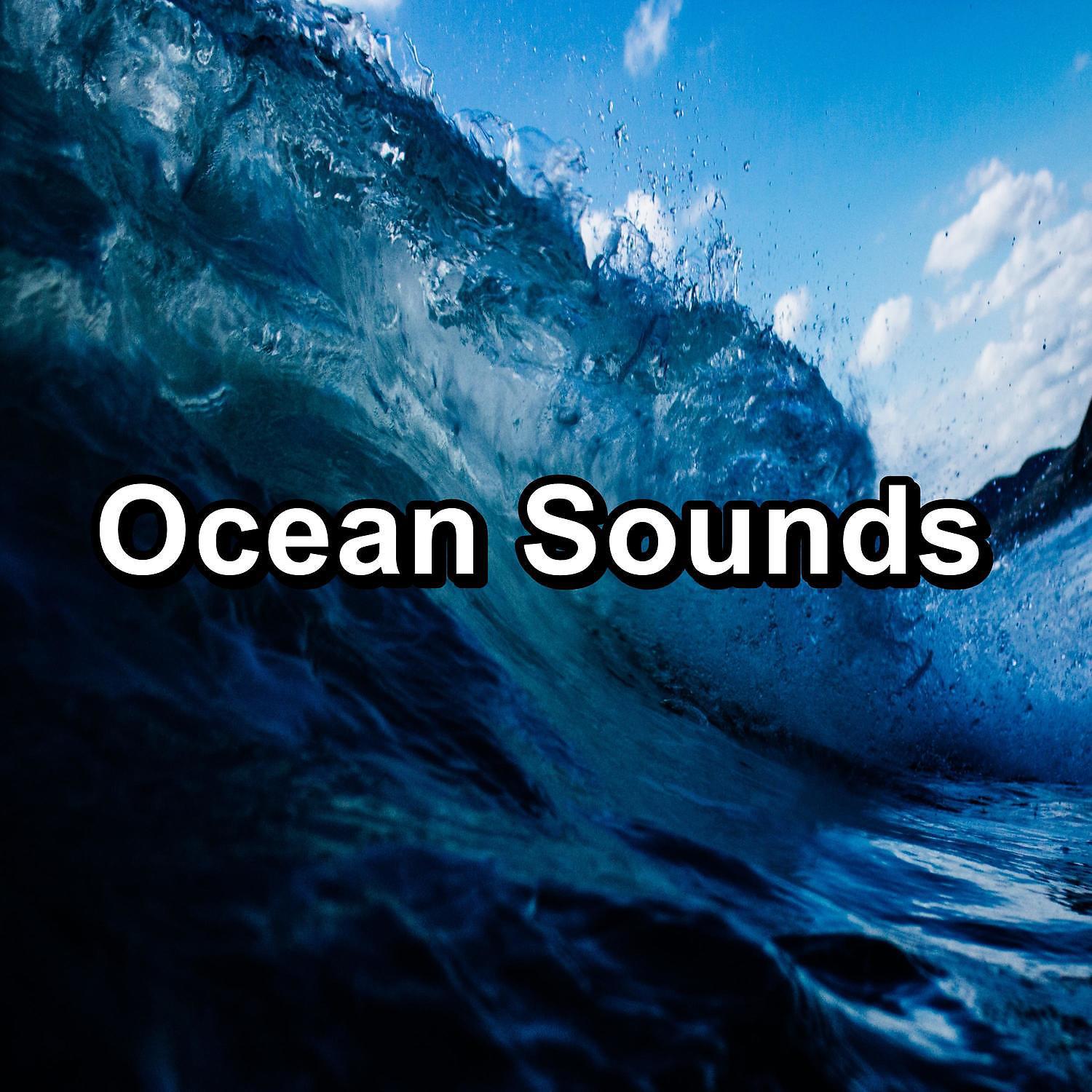 Постер альбома Ocean Sounds