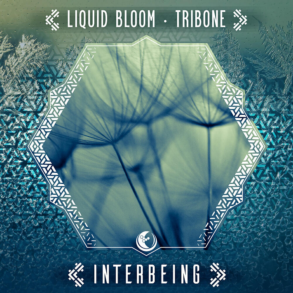 Liquid Bloom - Interbeing (Tylepathy Ambient Remix)