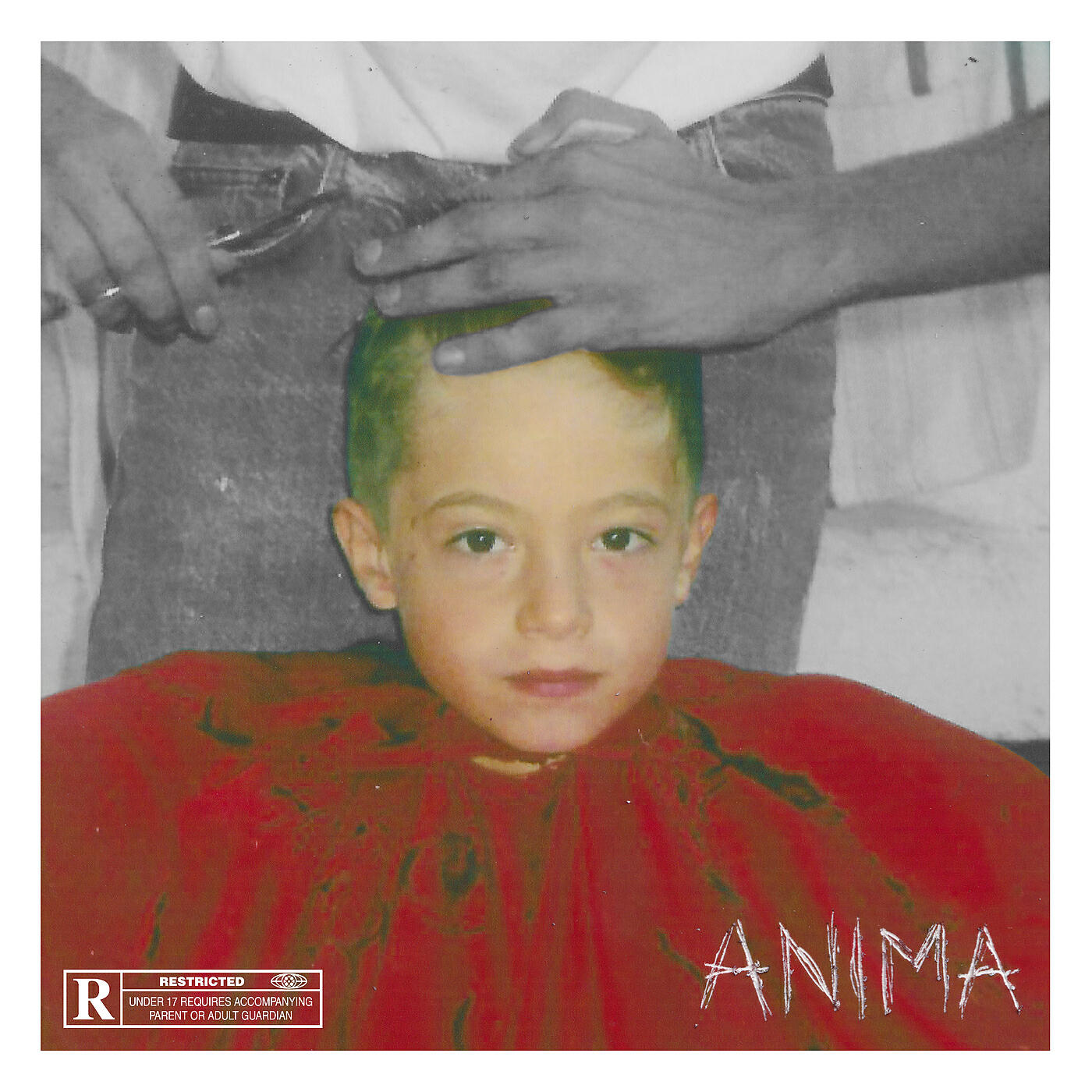 DrefGold - ANIMA