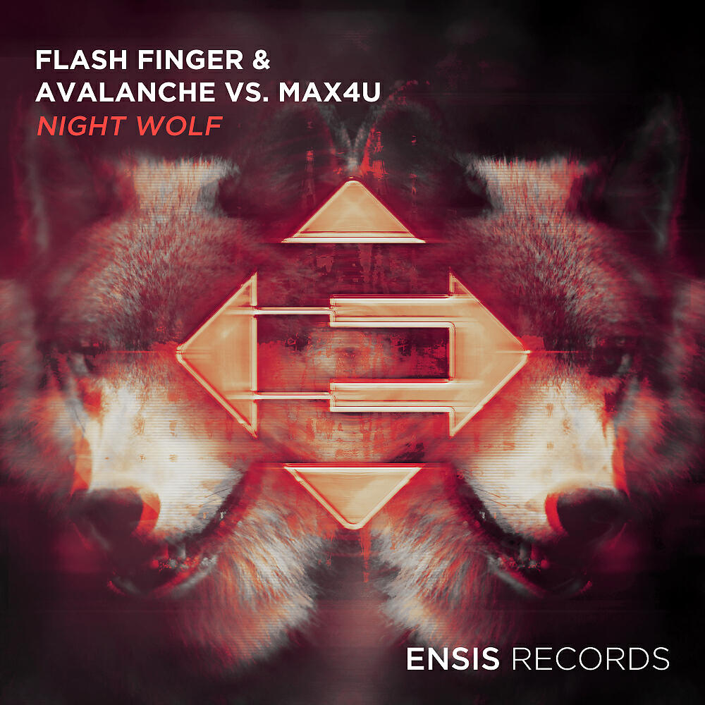 Flash FInger - Night Wolf (Original Mix)